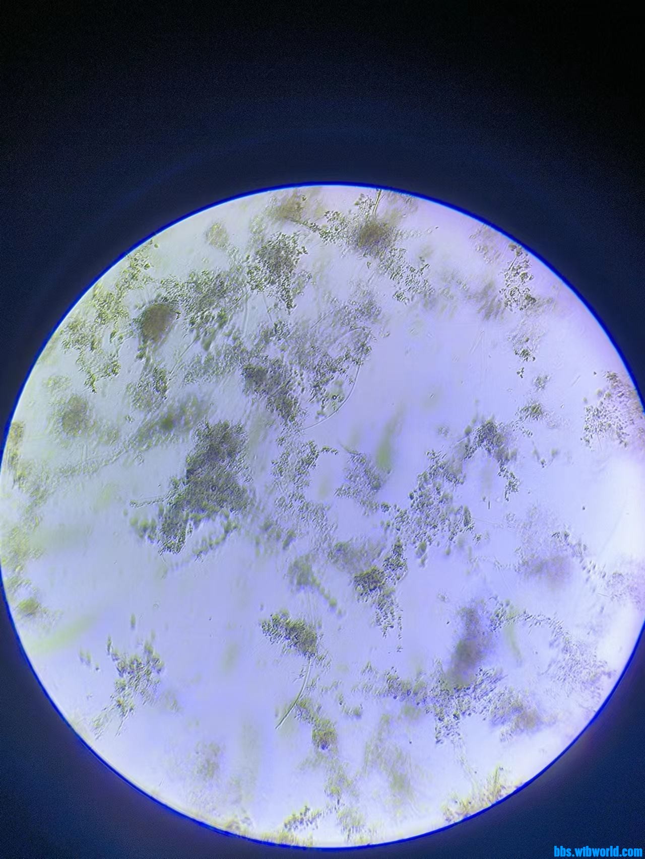 wechat_upload16862707496482731d238bf