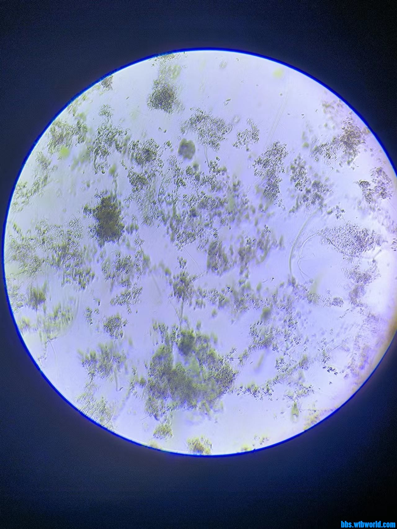 wechat_upload16862904806482c030c9376