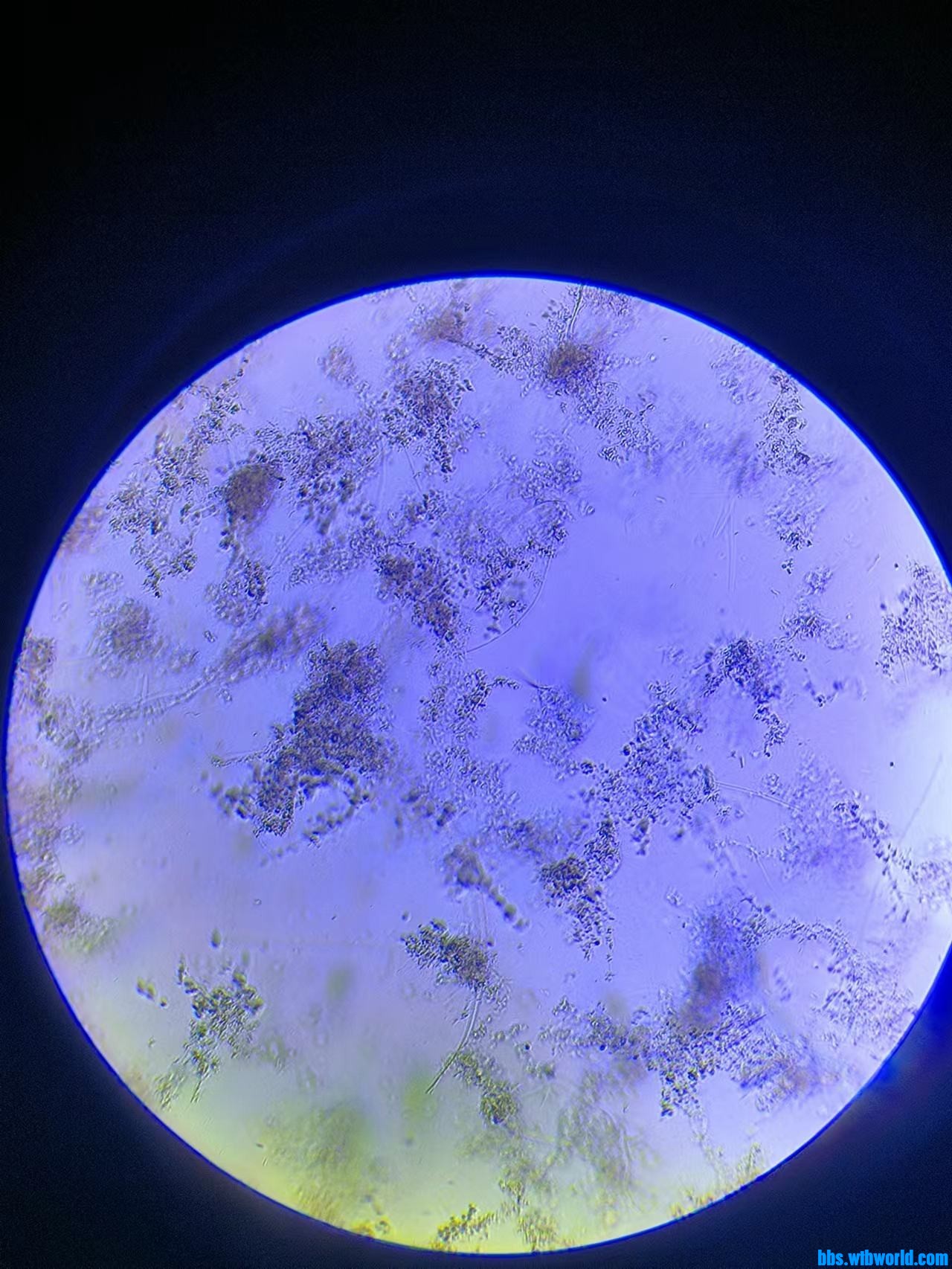 wechat_upload16862904816482c031a840d