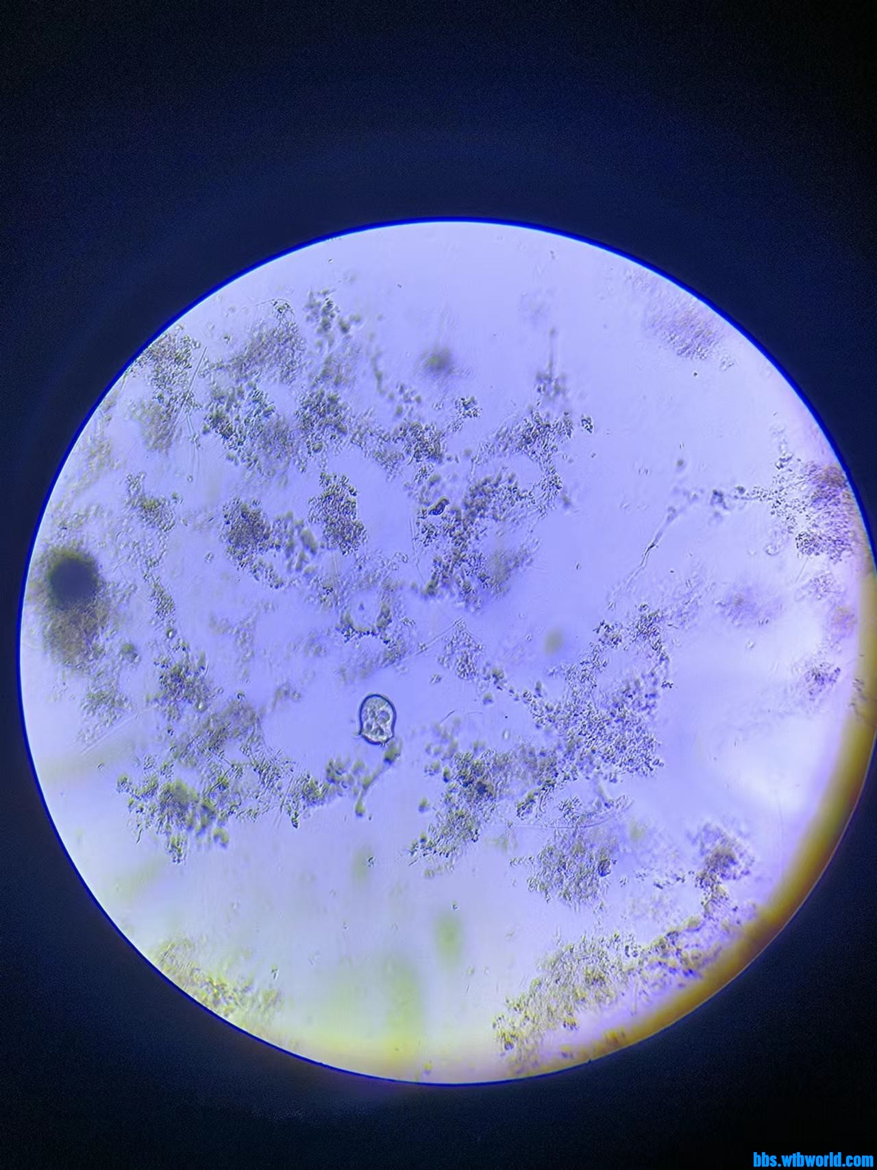 wechat_upload16862904816482c0313d41f