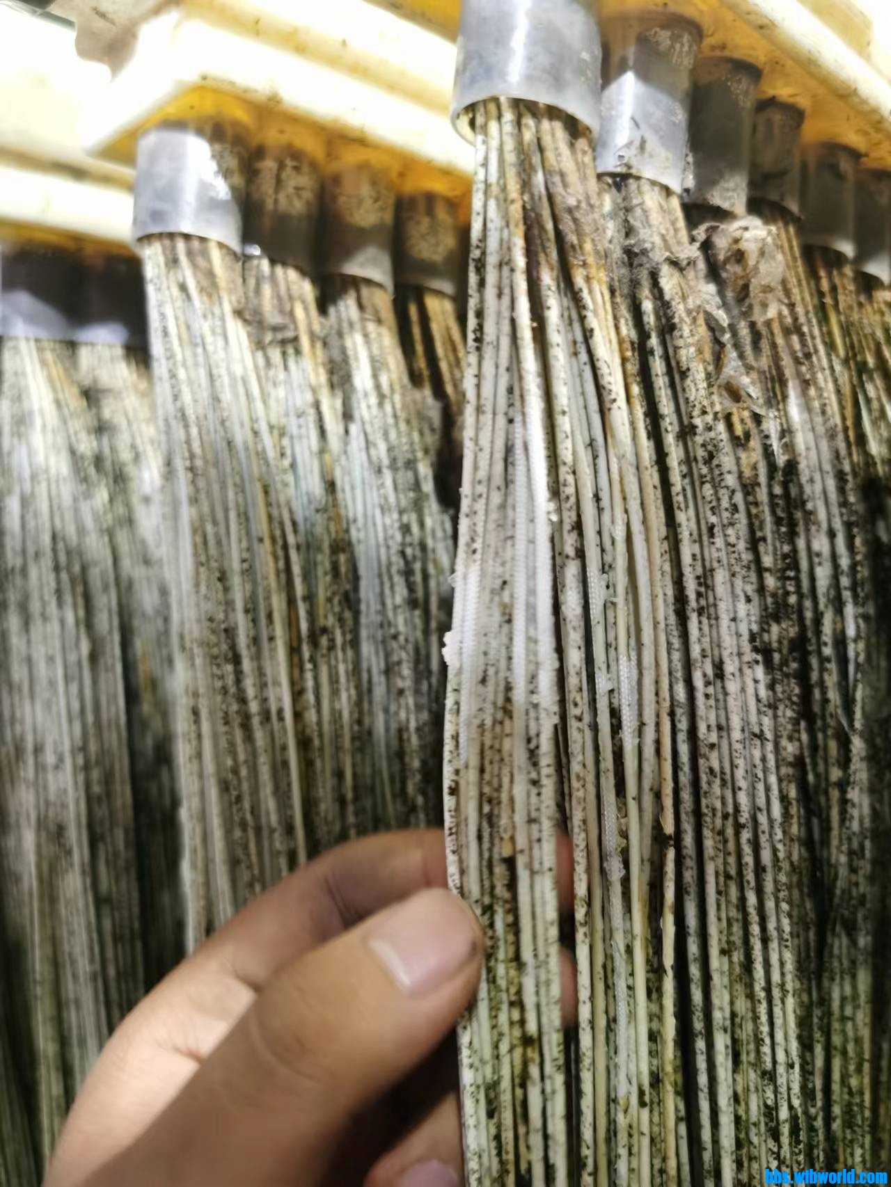 wechat_upload1688001230649cdace86ab7