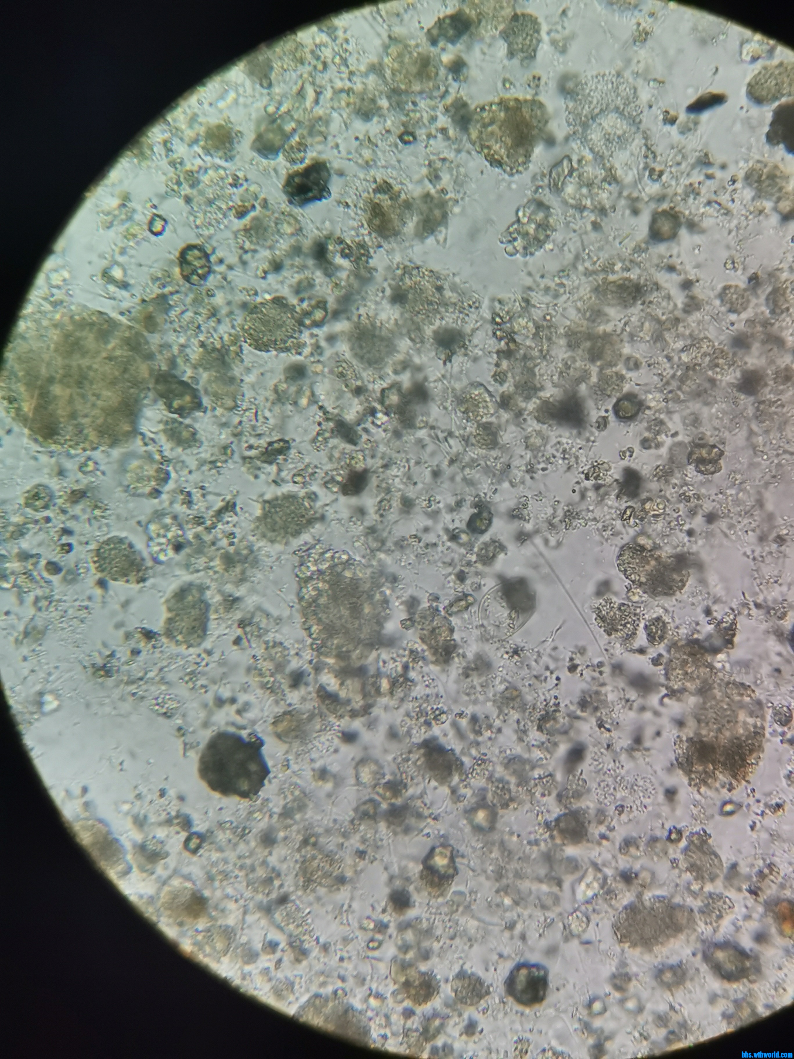 wechat_upload168830490864a17d0c3aa86