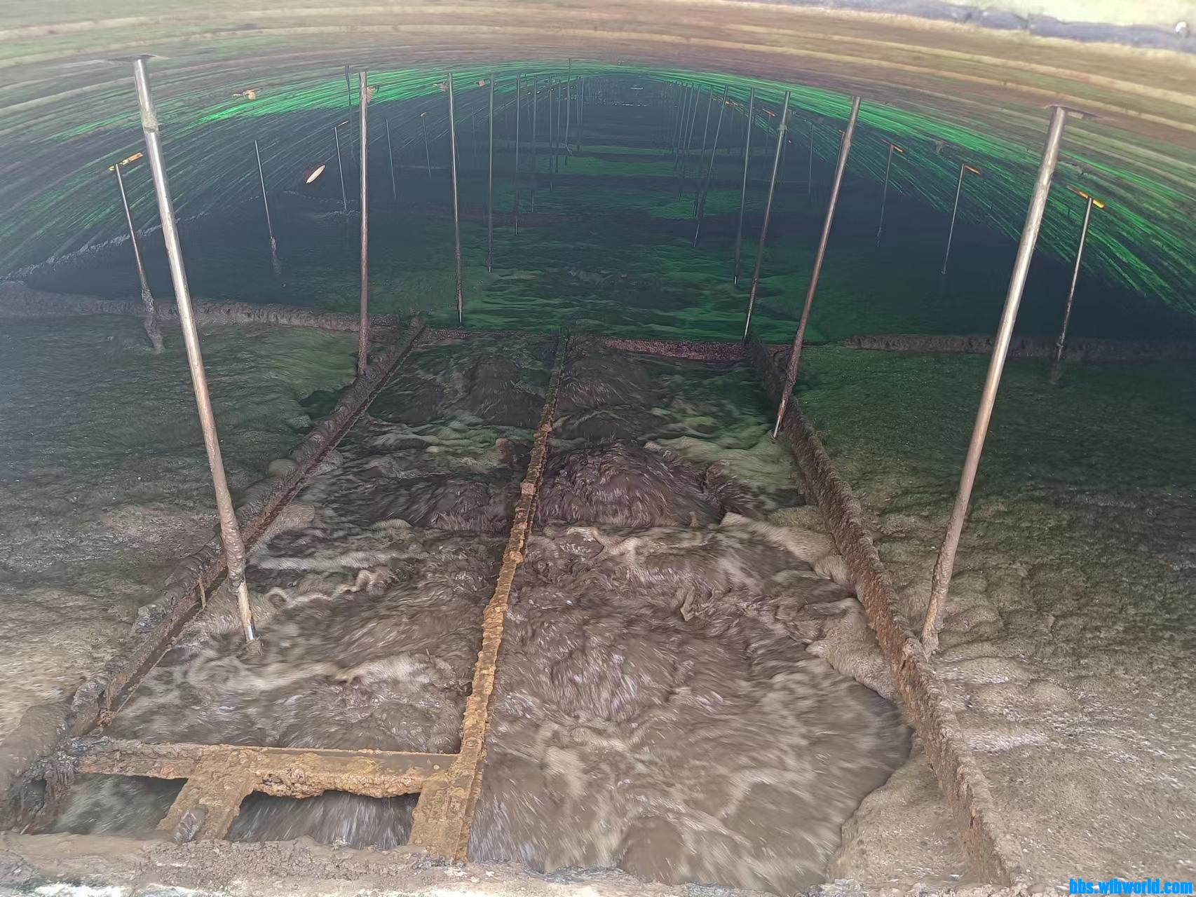 wechat_upload168862804164a66b4939e3f