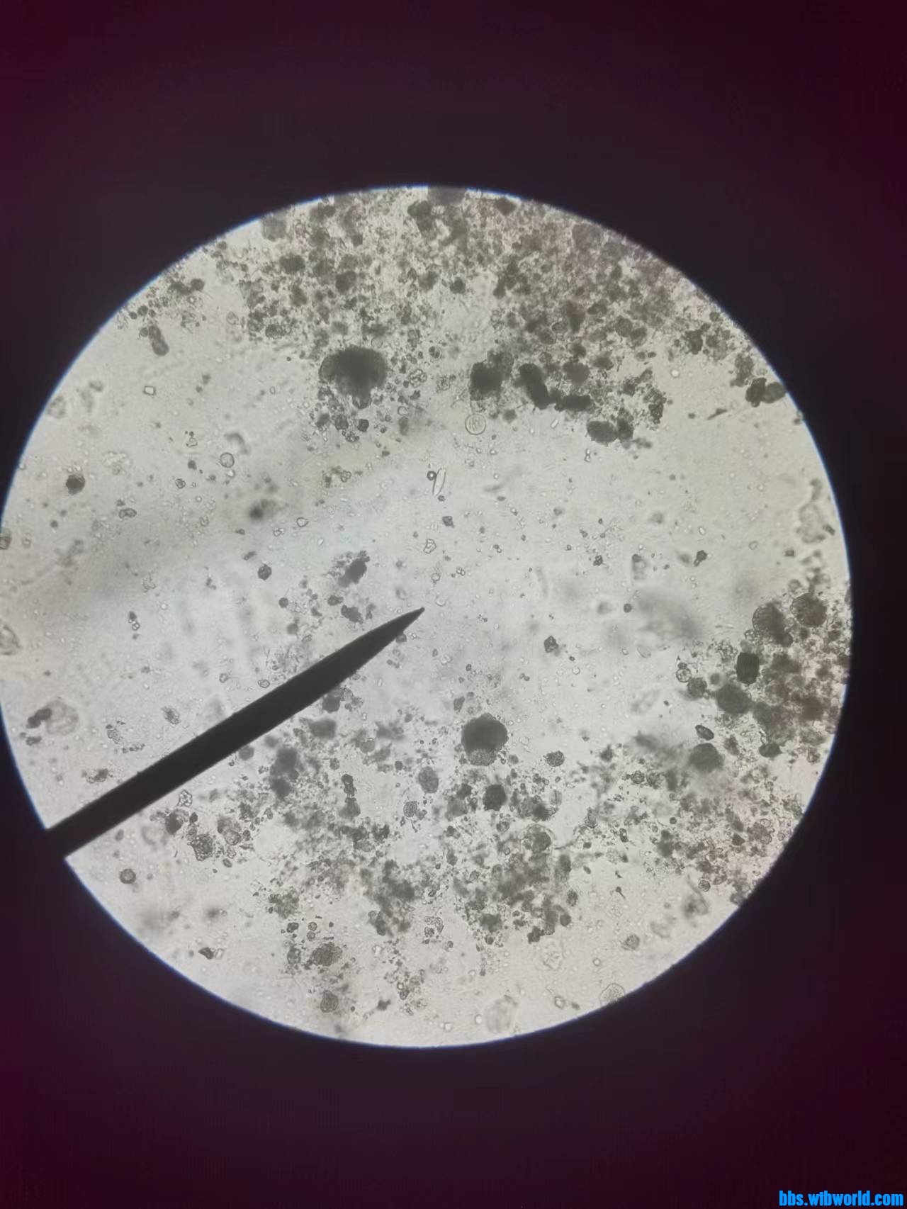 wechat_upload168907897064ad4cba8fd03