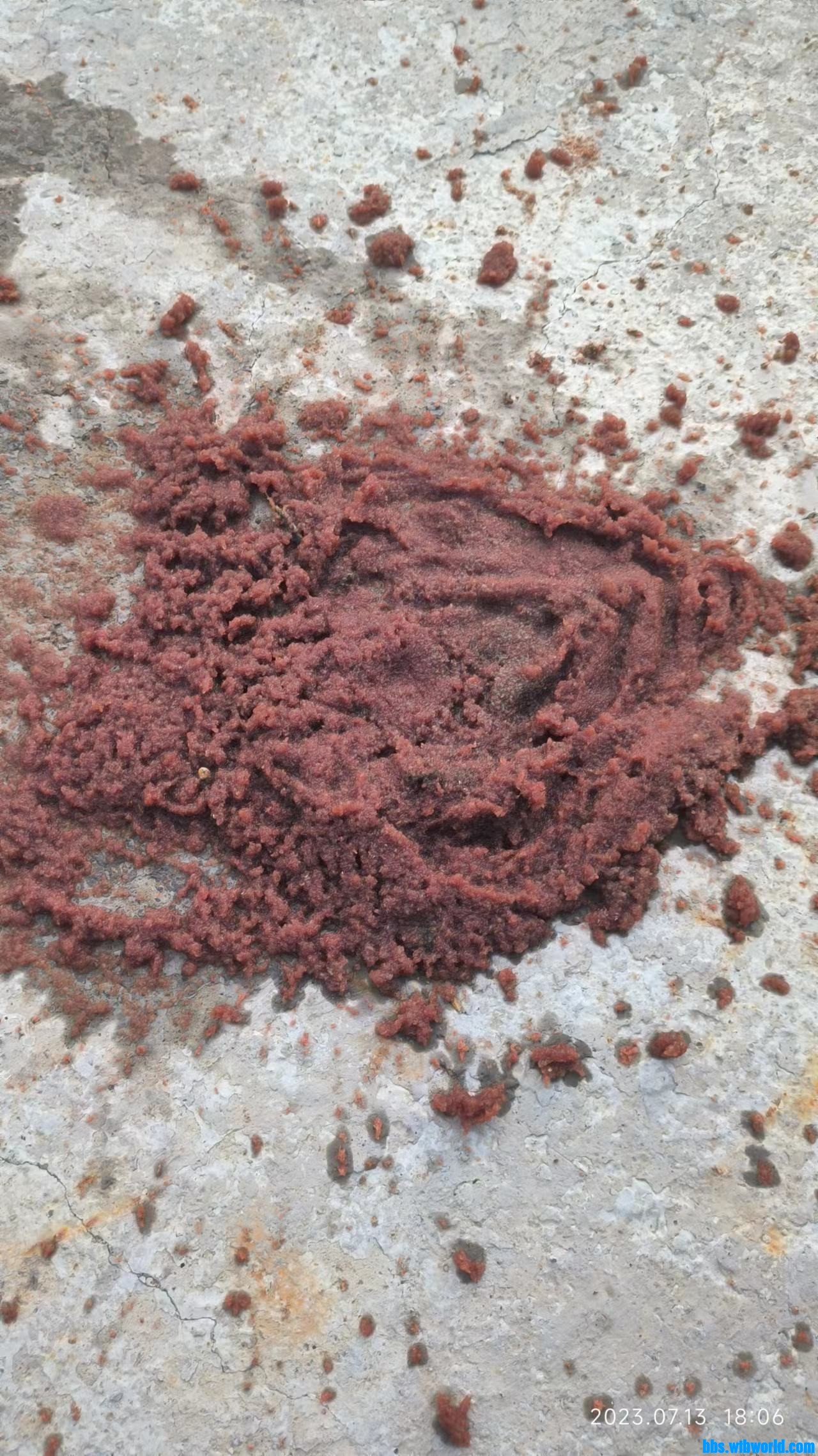 wechat_upload168924354464afcf981be53