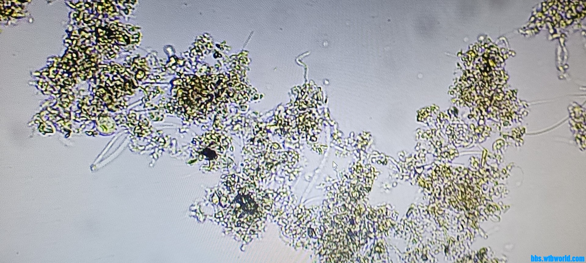 wechat_upload169070648864c62238d4a05