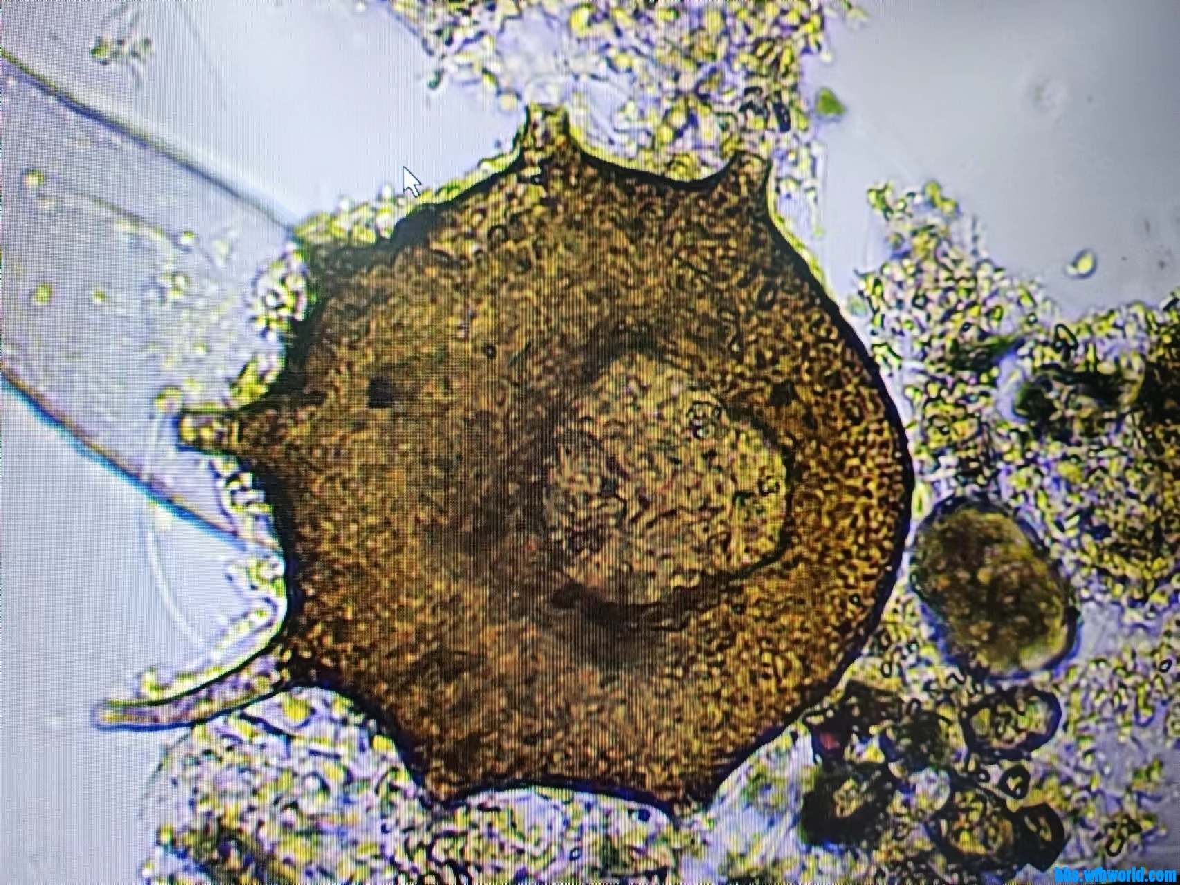 wechat_upload169073879464c6a06a6b707