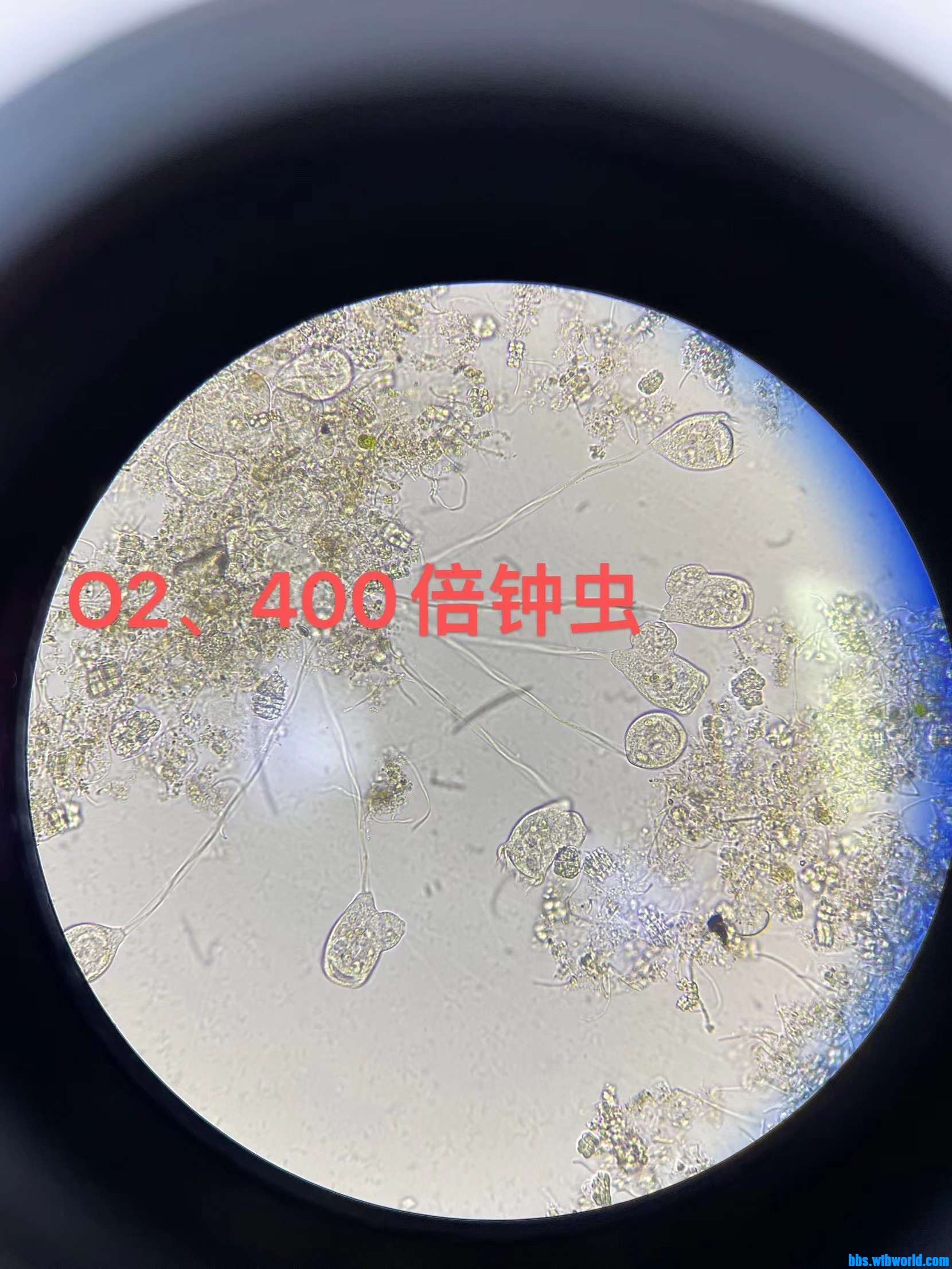 wechat_upload169145413464d18ab63e2dc