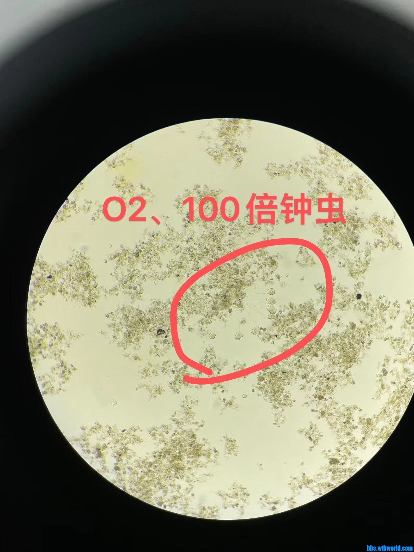 wechat_upload169145413464d18ab6c0716