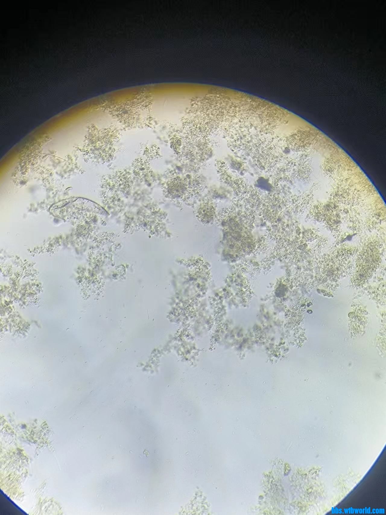 wechat_upload169223651664dd7ae4c1ab6