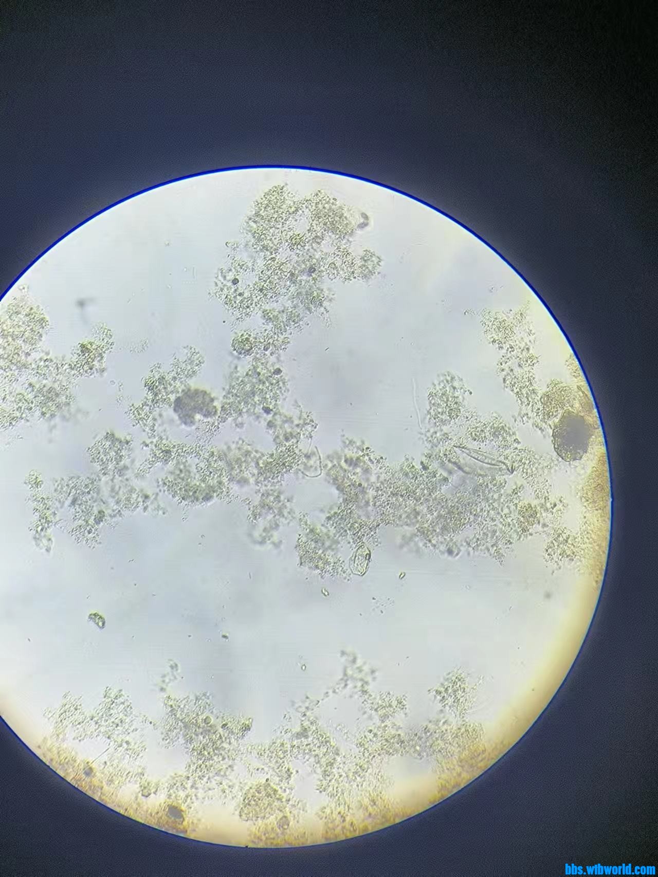 wechat_upload169223651764dd7ae536c32