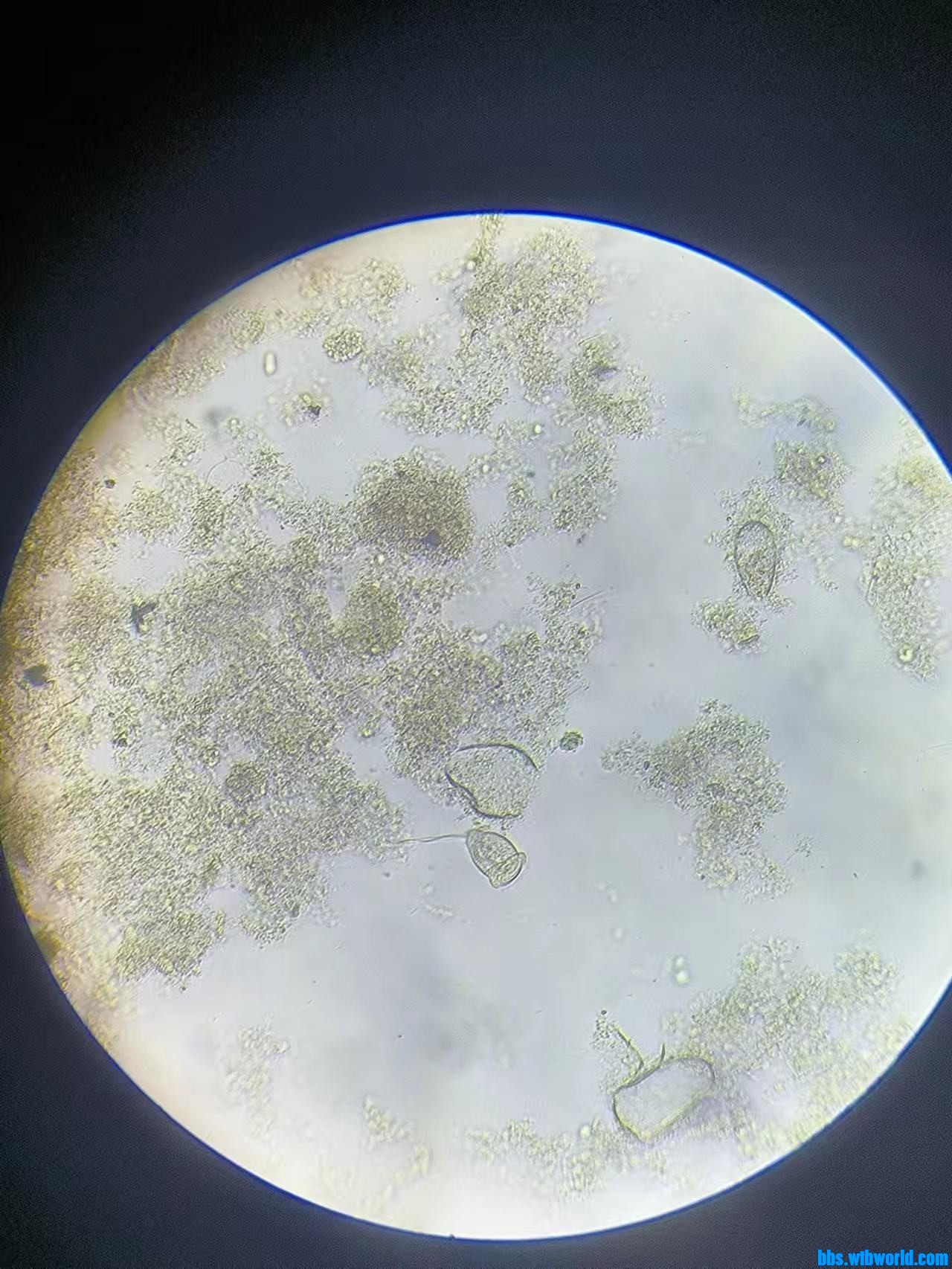 wechat_upload169223651764dd7ae59cb70