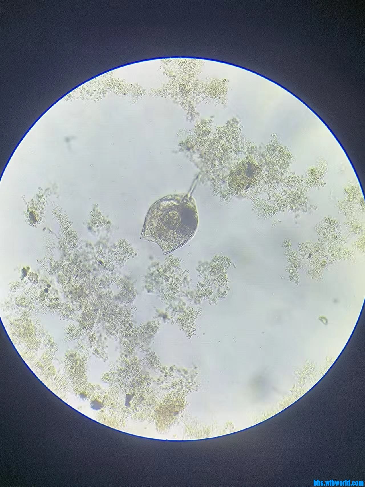 wechat_upload169223651864dd7ae6a0758