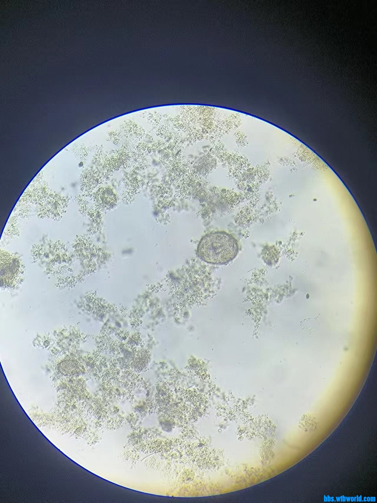 wechat_upload169223651964dd7ae721b62