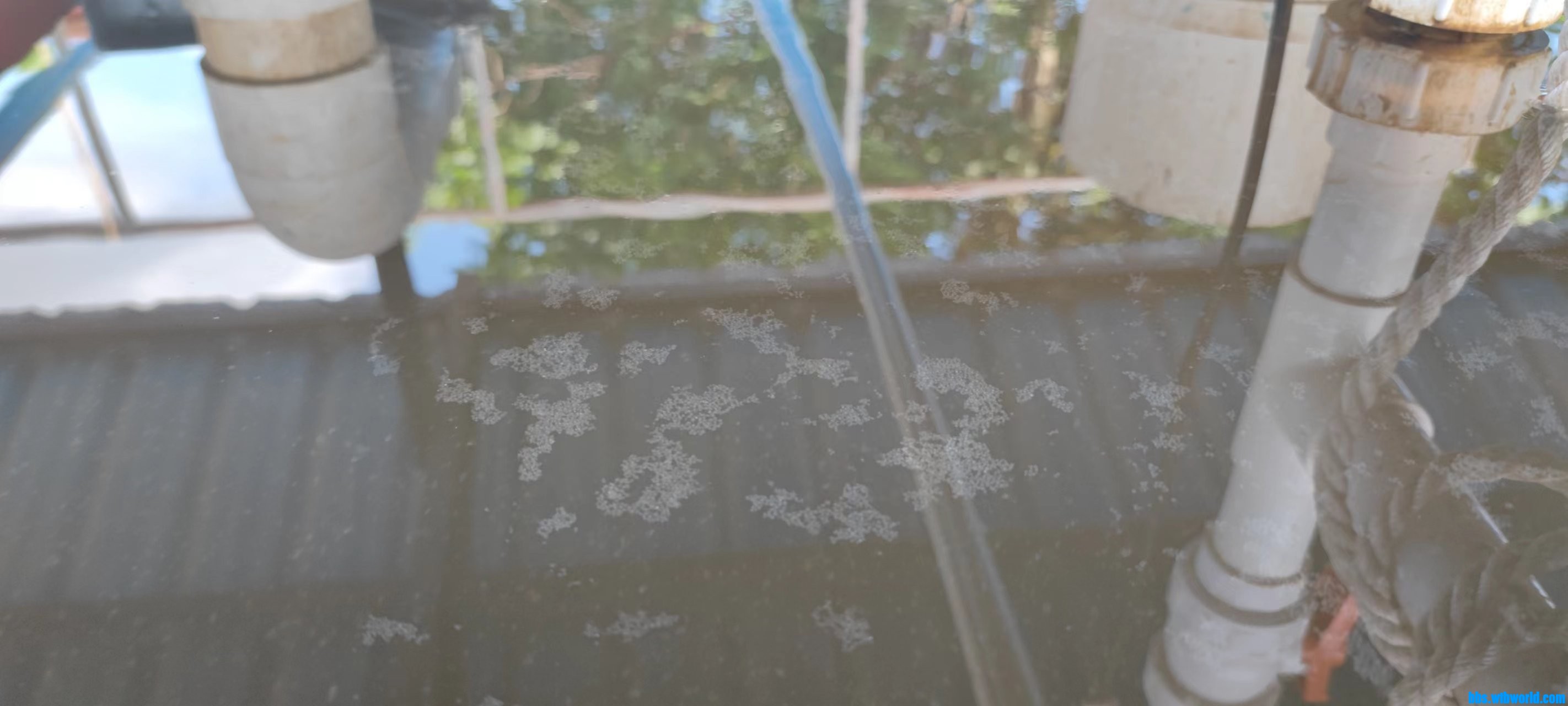 wechat_upload169268474164e451c584e78