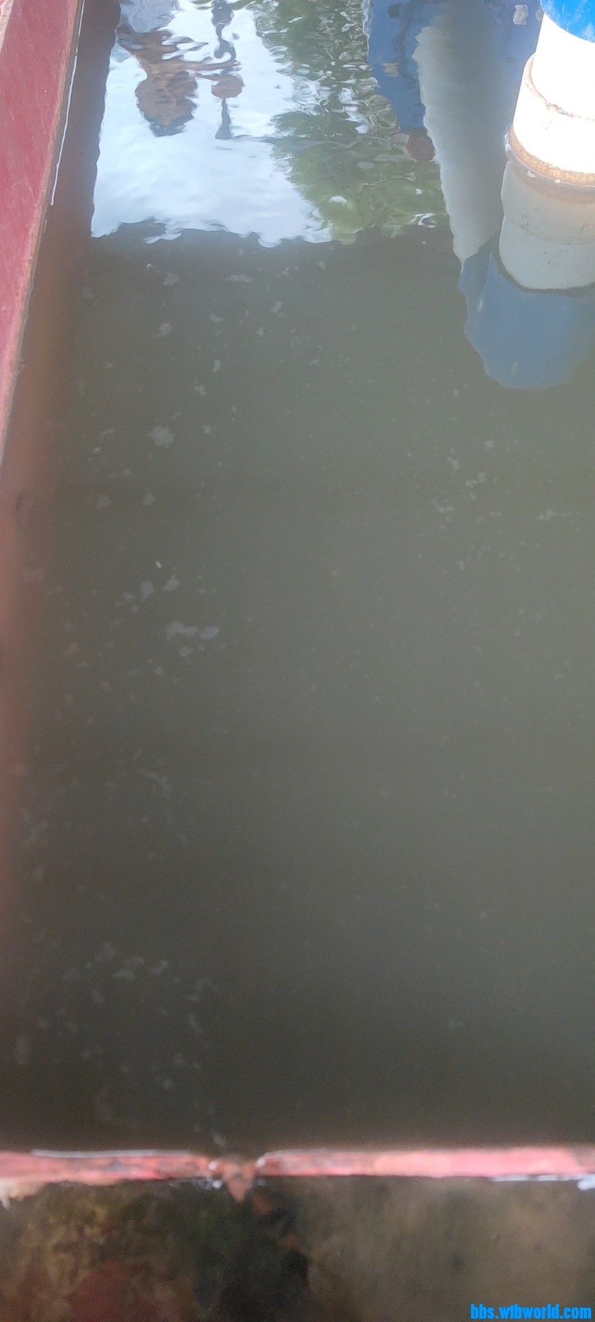 wechat_upload169321369564ec63ff1c9a8