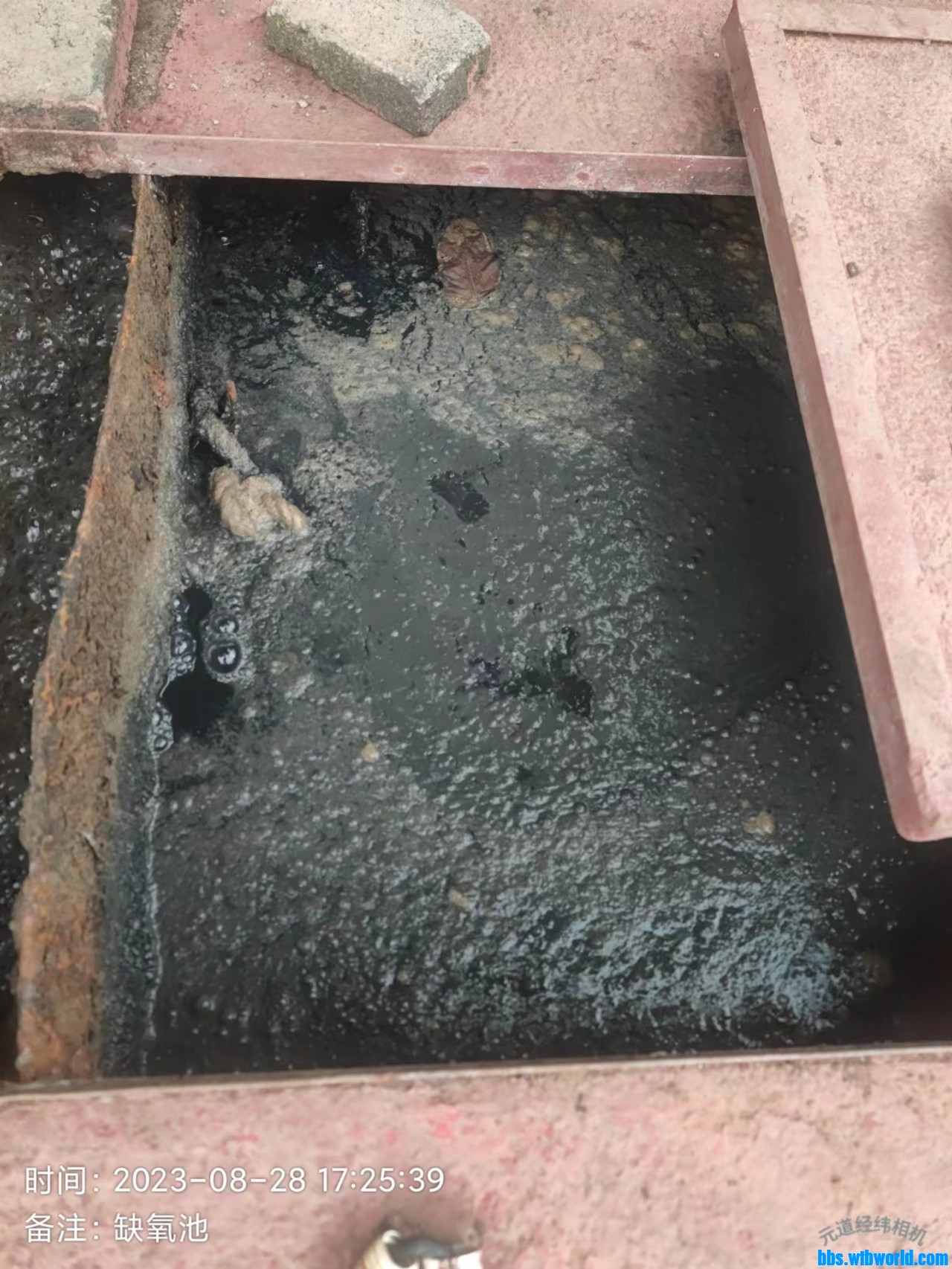 wechat_upload169323459864ecb5a6eea08