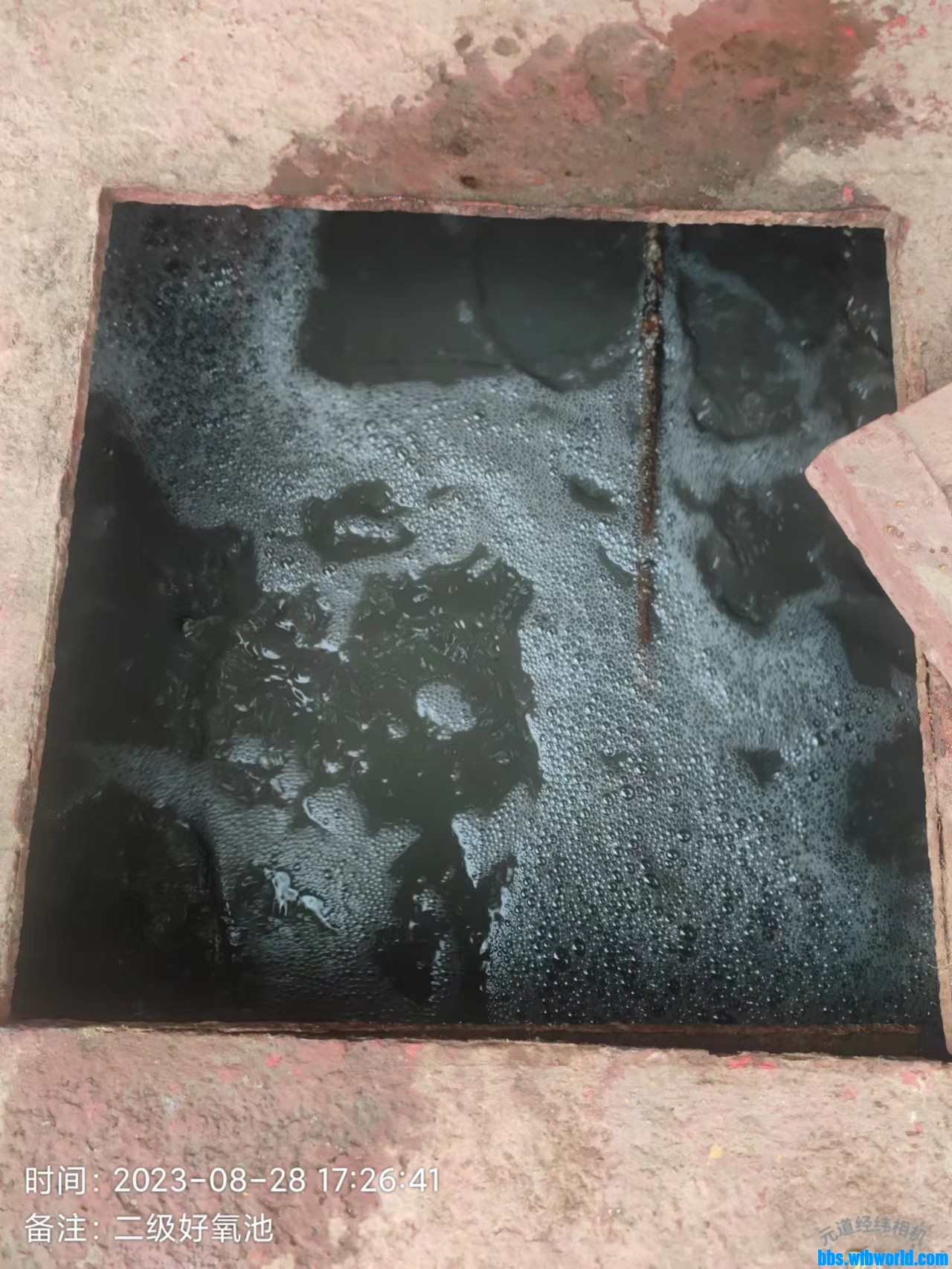 wechat_upload169323459964ecb5a7c894f