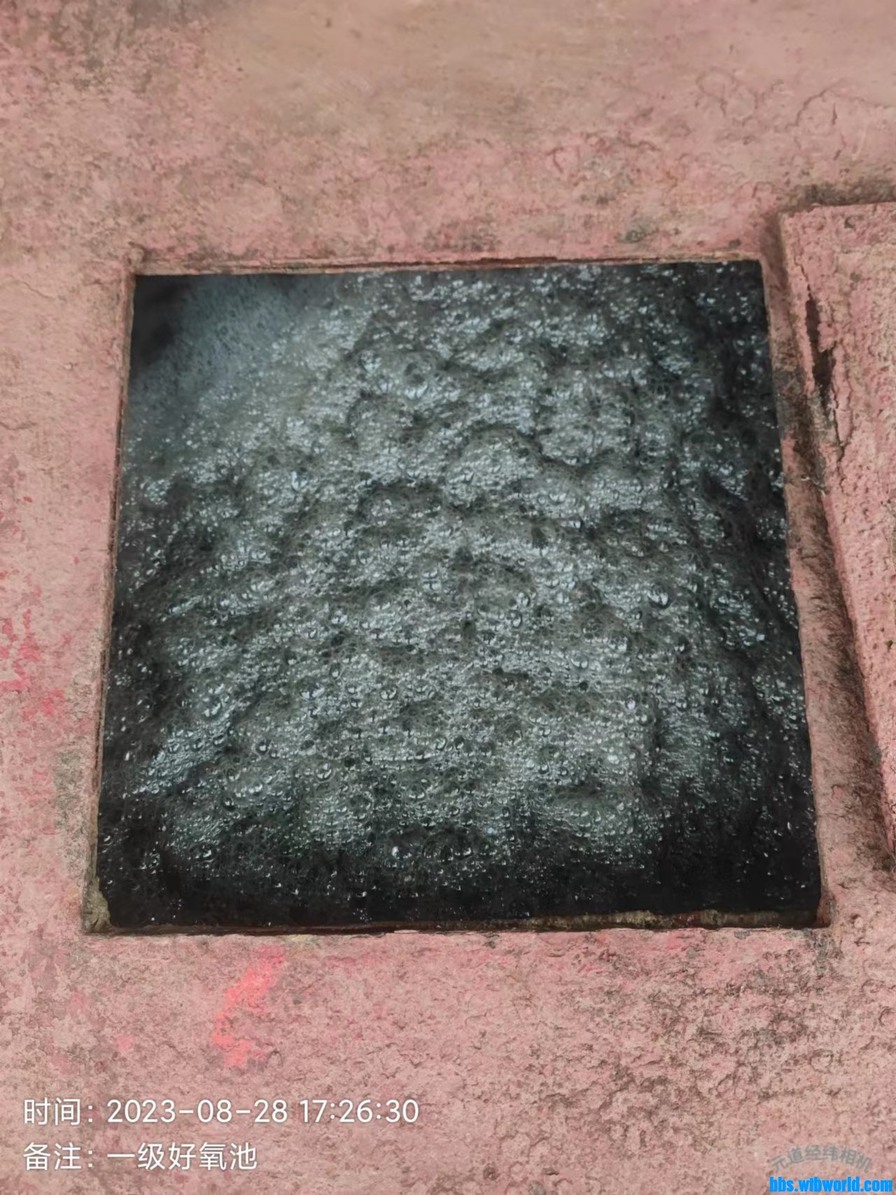 wechat_upload169323459964ecb5a76901f