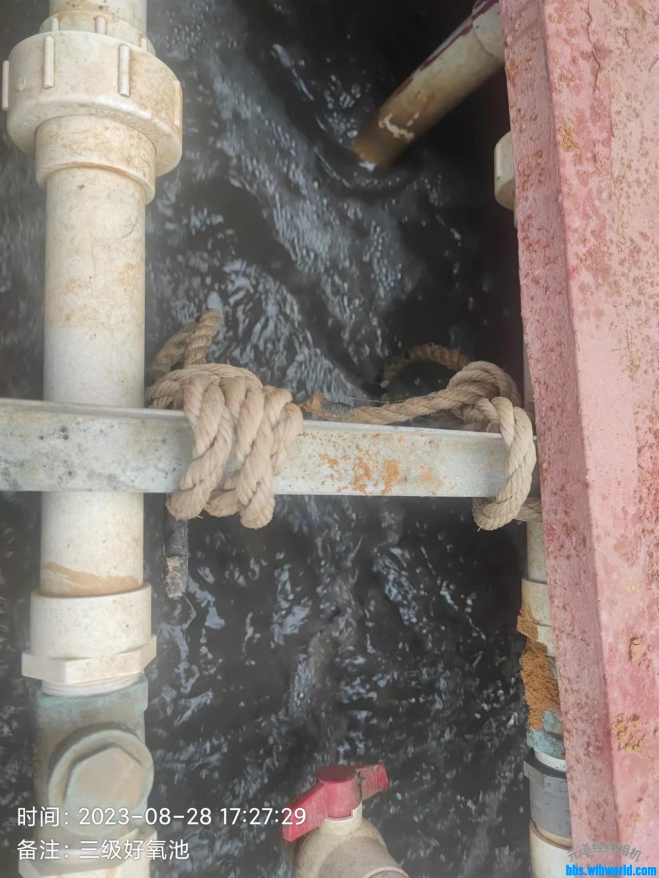 wechat_upload169323460064ecb5a831f51