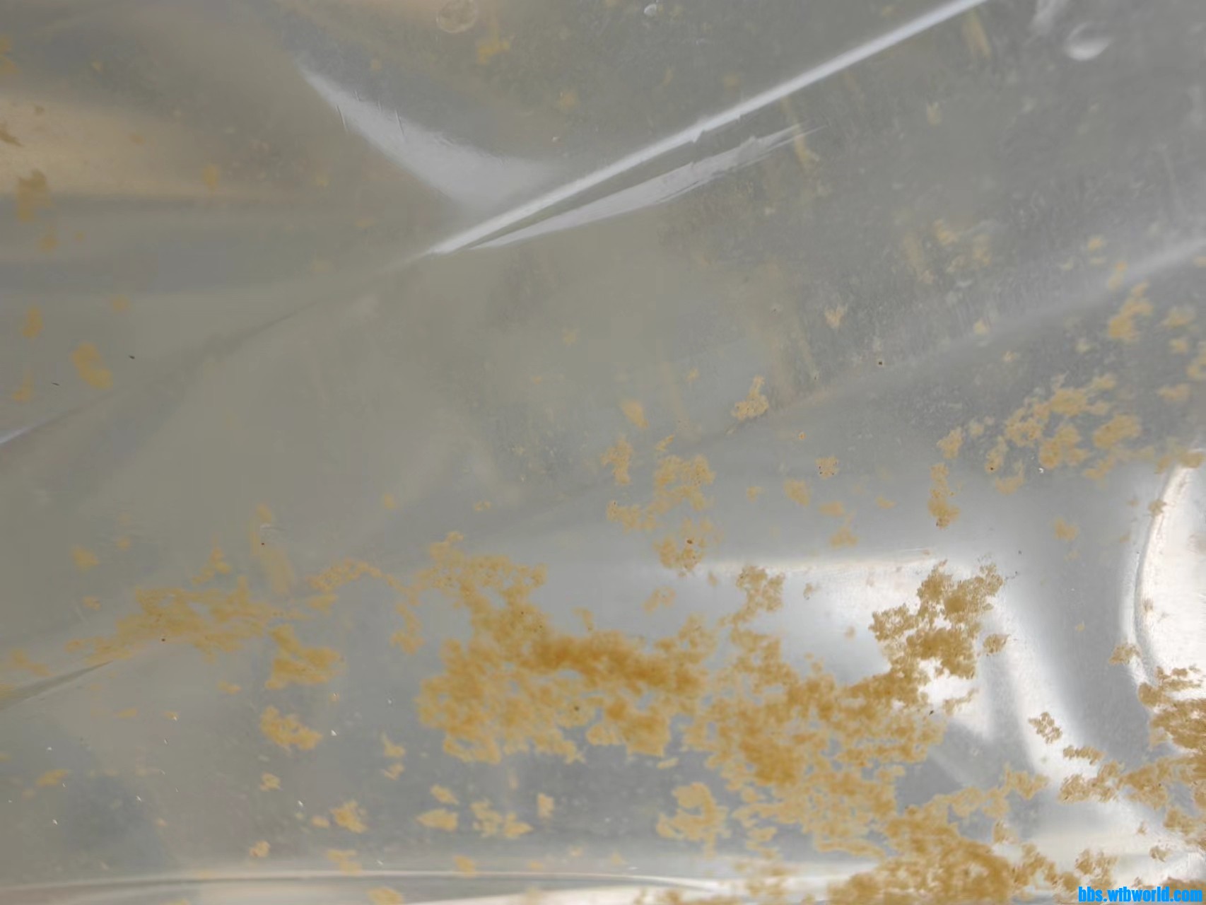 wechat_upload1695195558650aa1a6ba28d