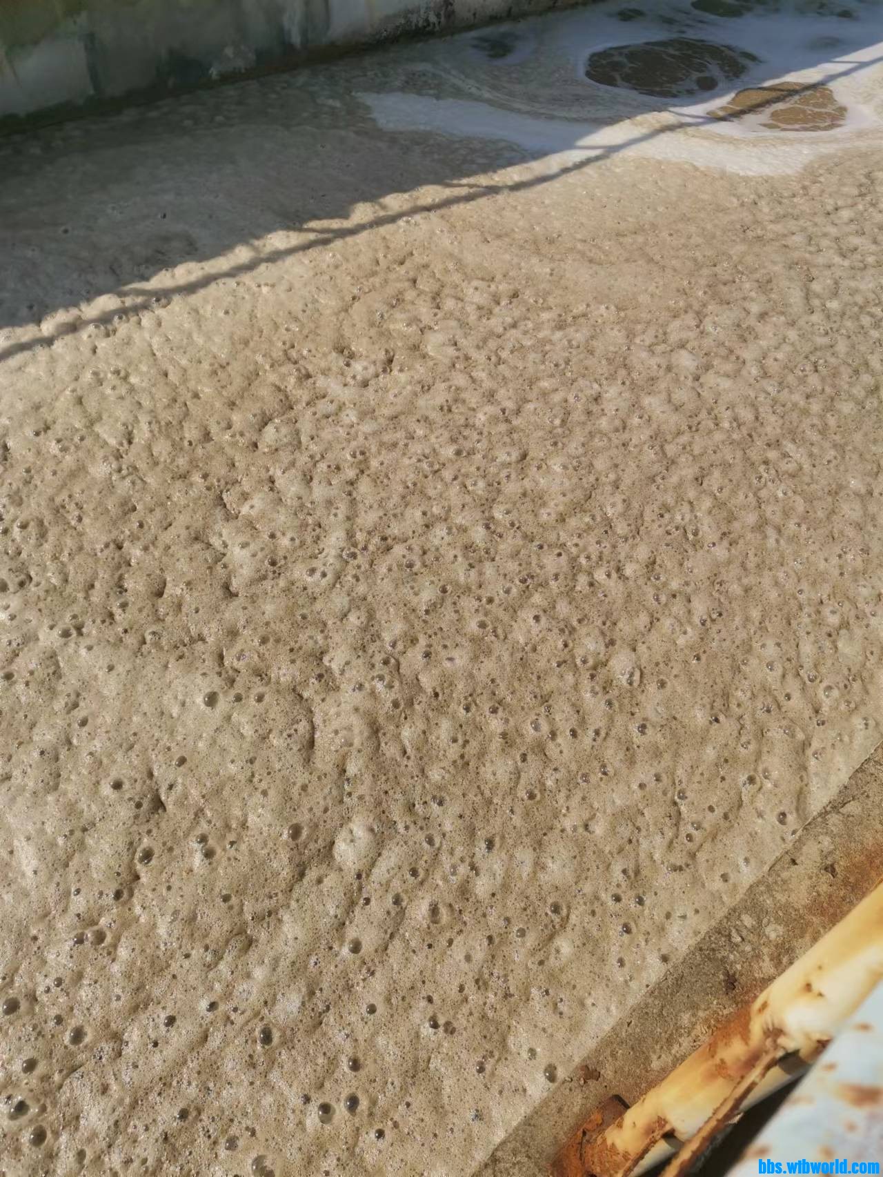 wechat_upload169673062565220e019a5ba