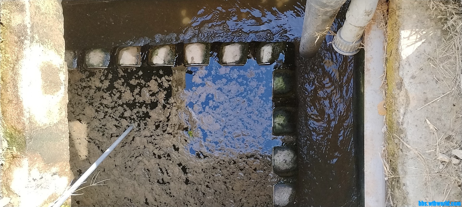 wechat_upload169899274365449267486a7