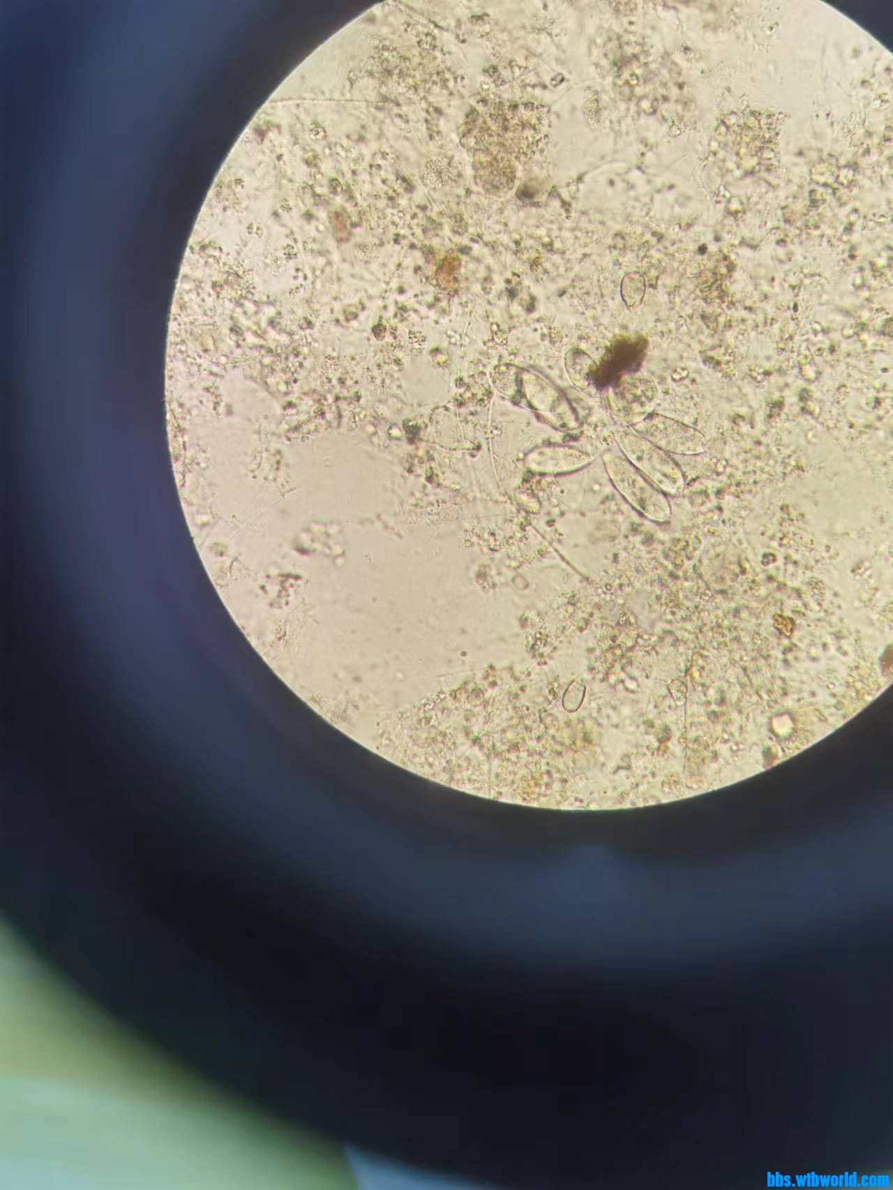 wechat_upload16992813096548f99d2af97