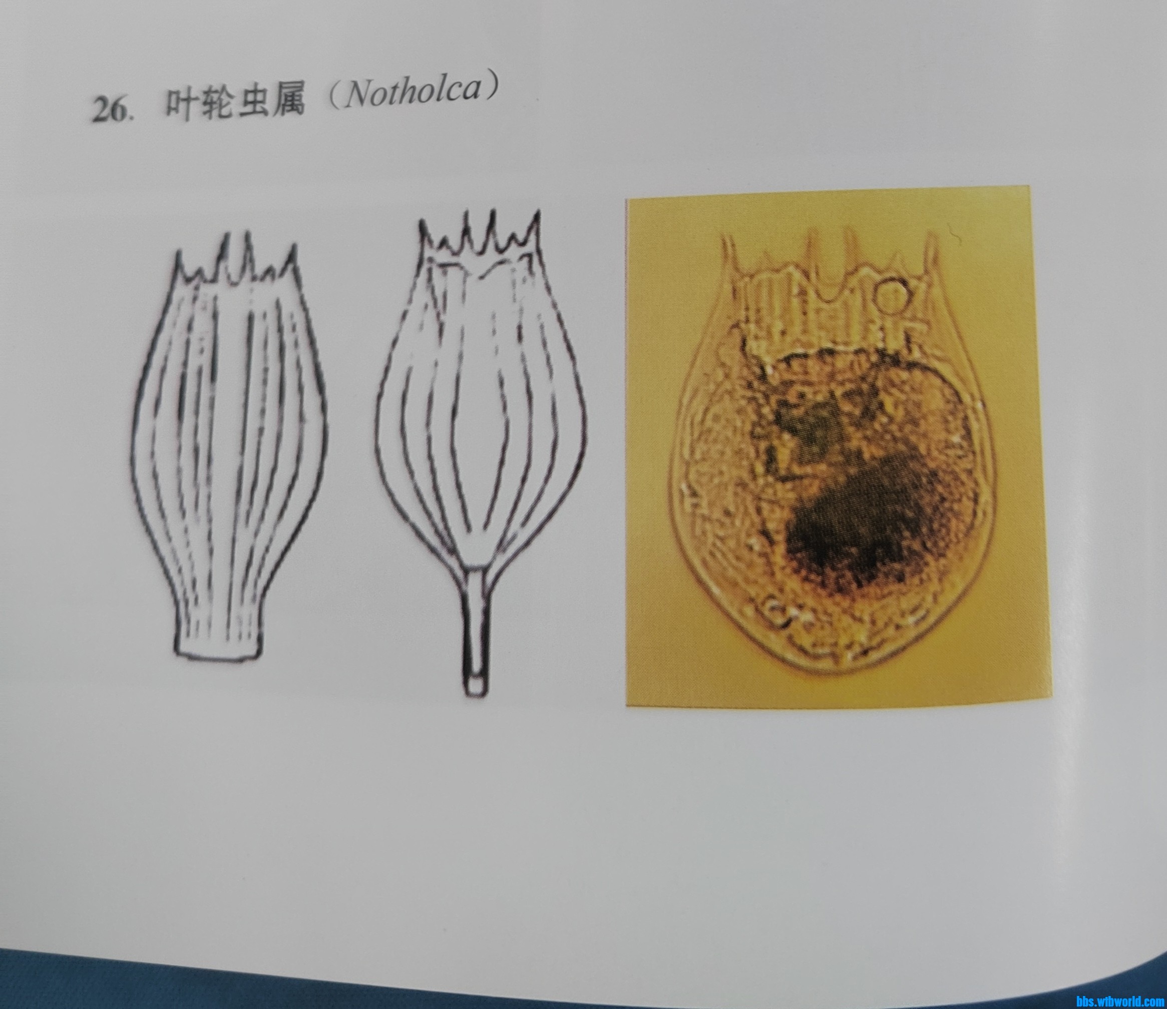 wechat_upload1699404878654adc4e5bf87