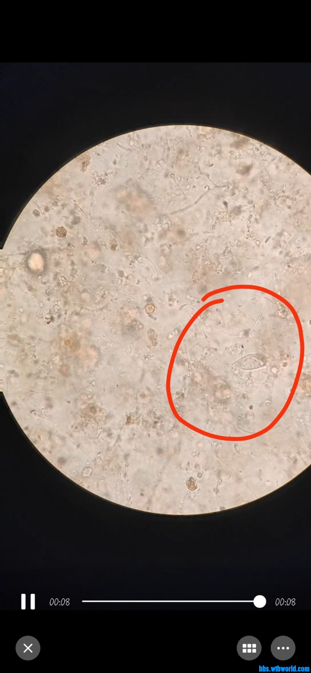 wechat_upload1699523737654cac99ecac9