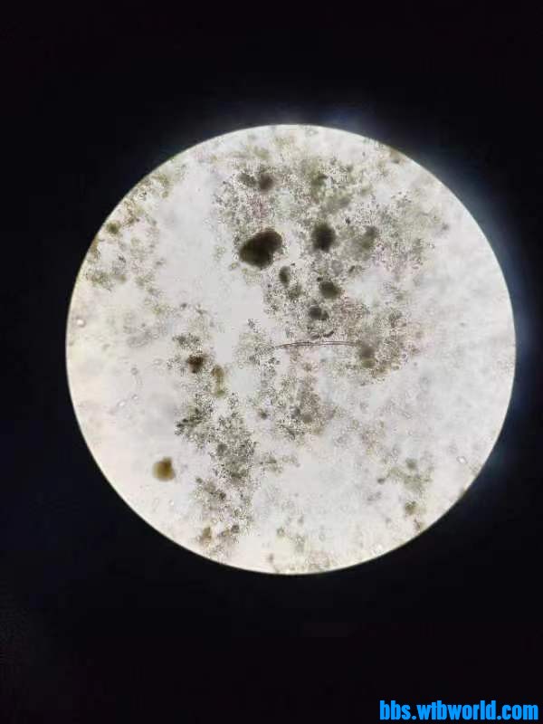 wechat_upload1699588443654da95b848d3