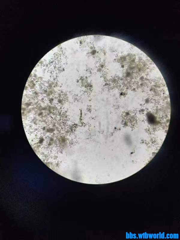 wechat_upload1699588443654da95bc61d5