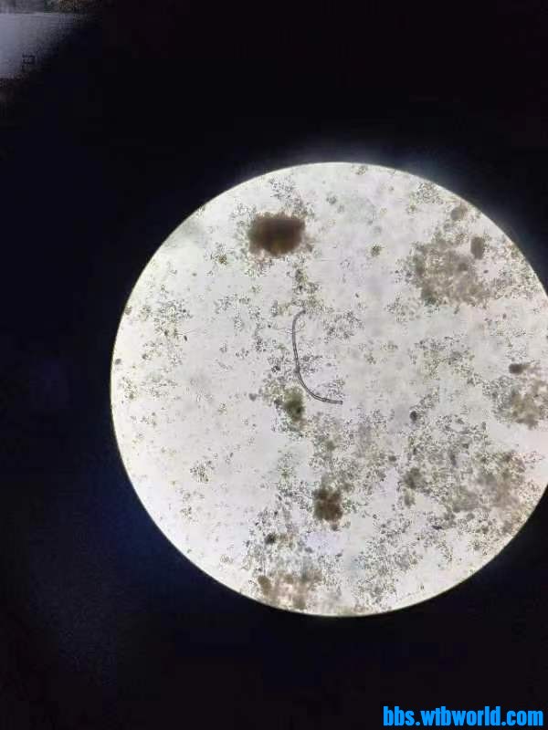 wechat_upload1699588444654da95c11639