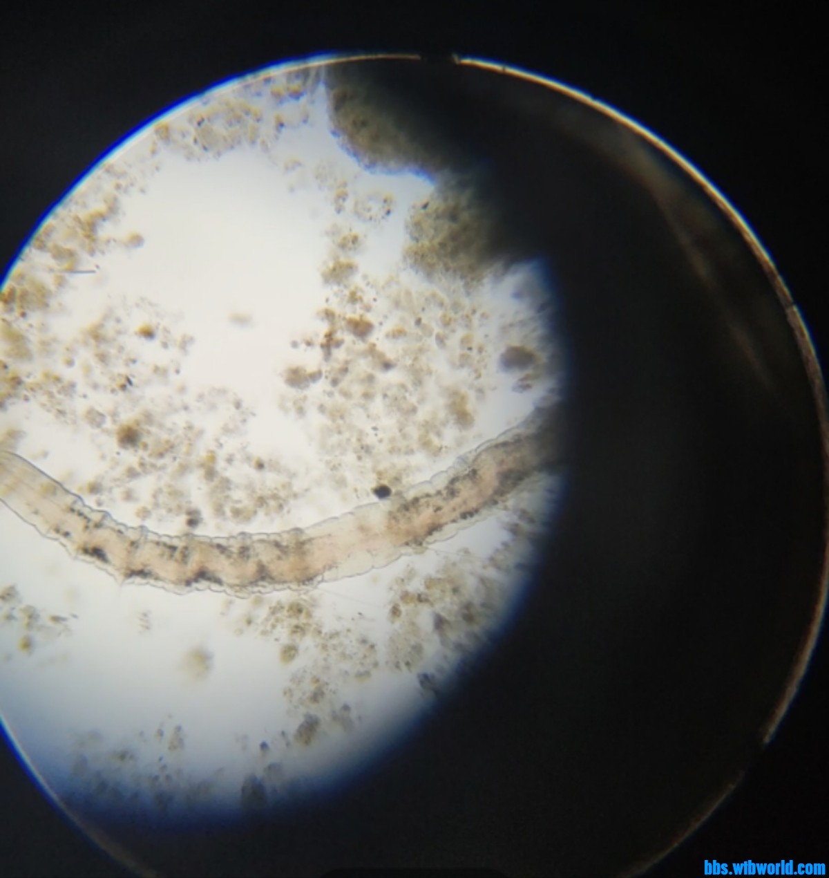 wechat_upload1699692964654f41a42a020