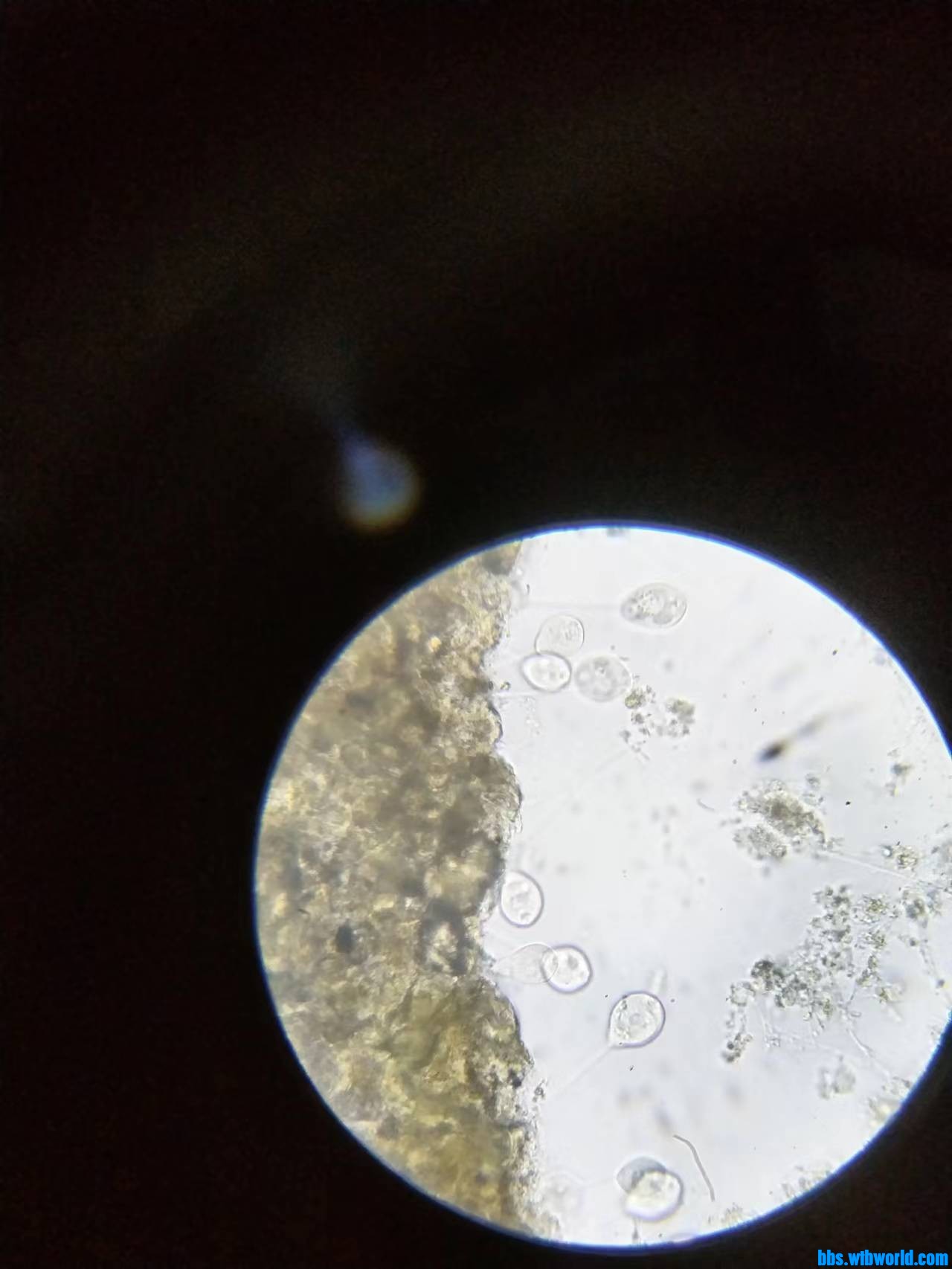 wechat_upload1699704868654f7024e5f5d