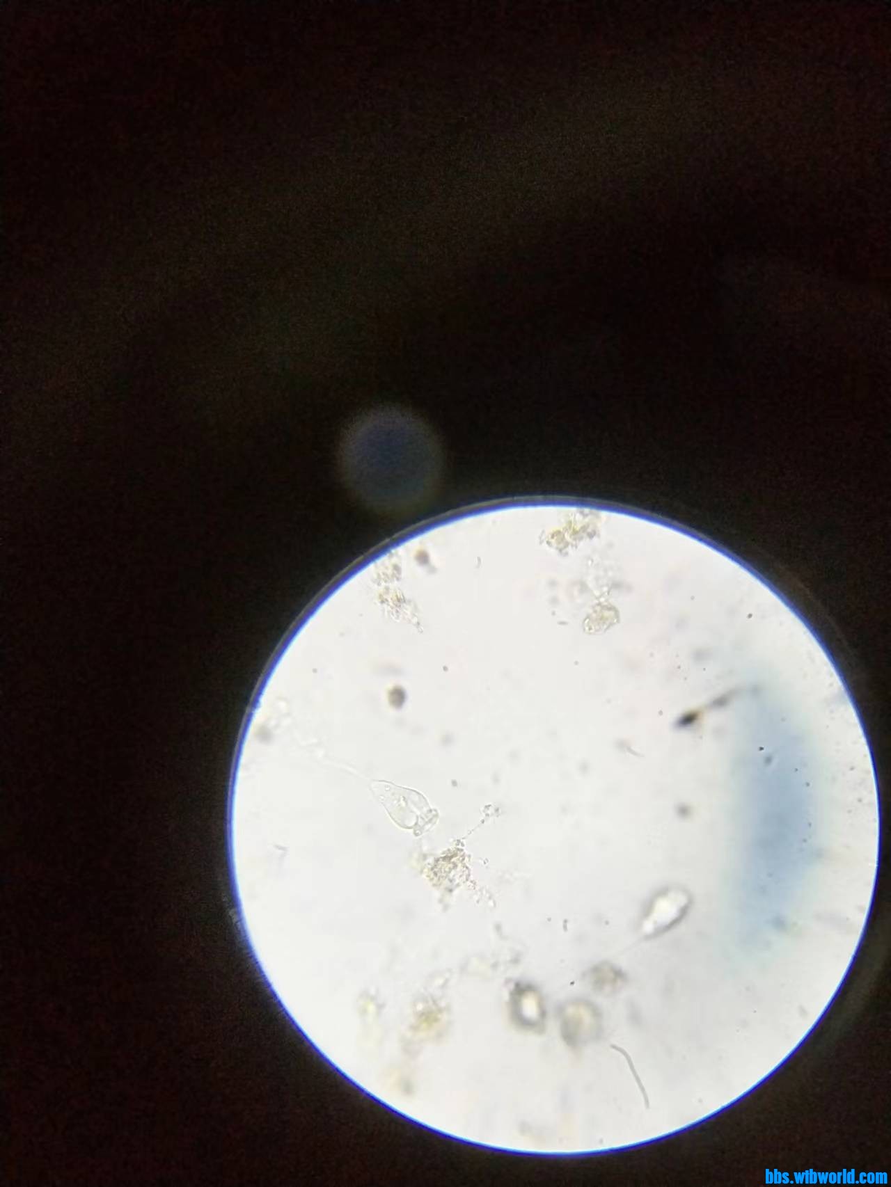 wechat_upload1699704869654f70259edd3