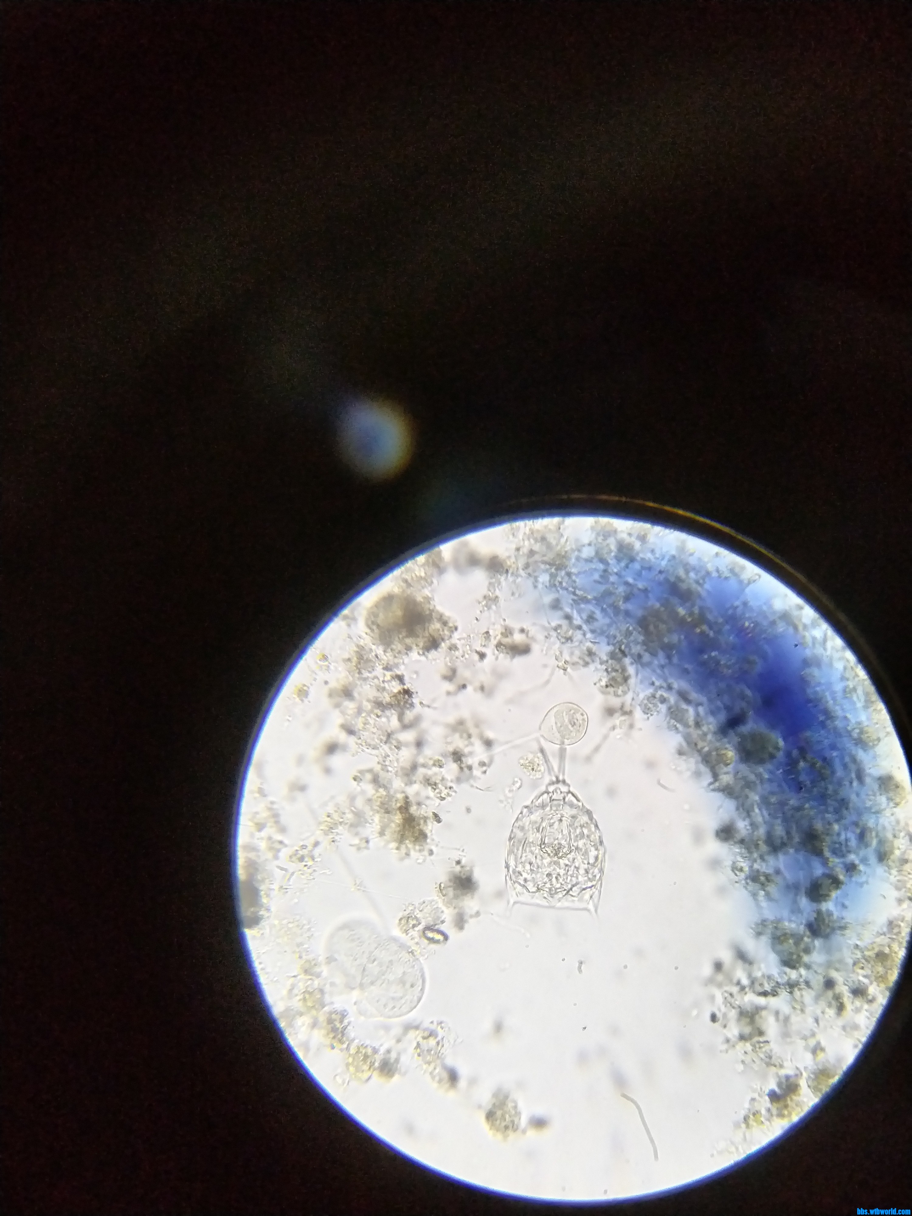 wechat_upload16997976326550da80b2ad3