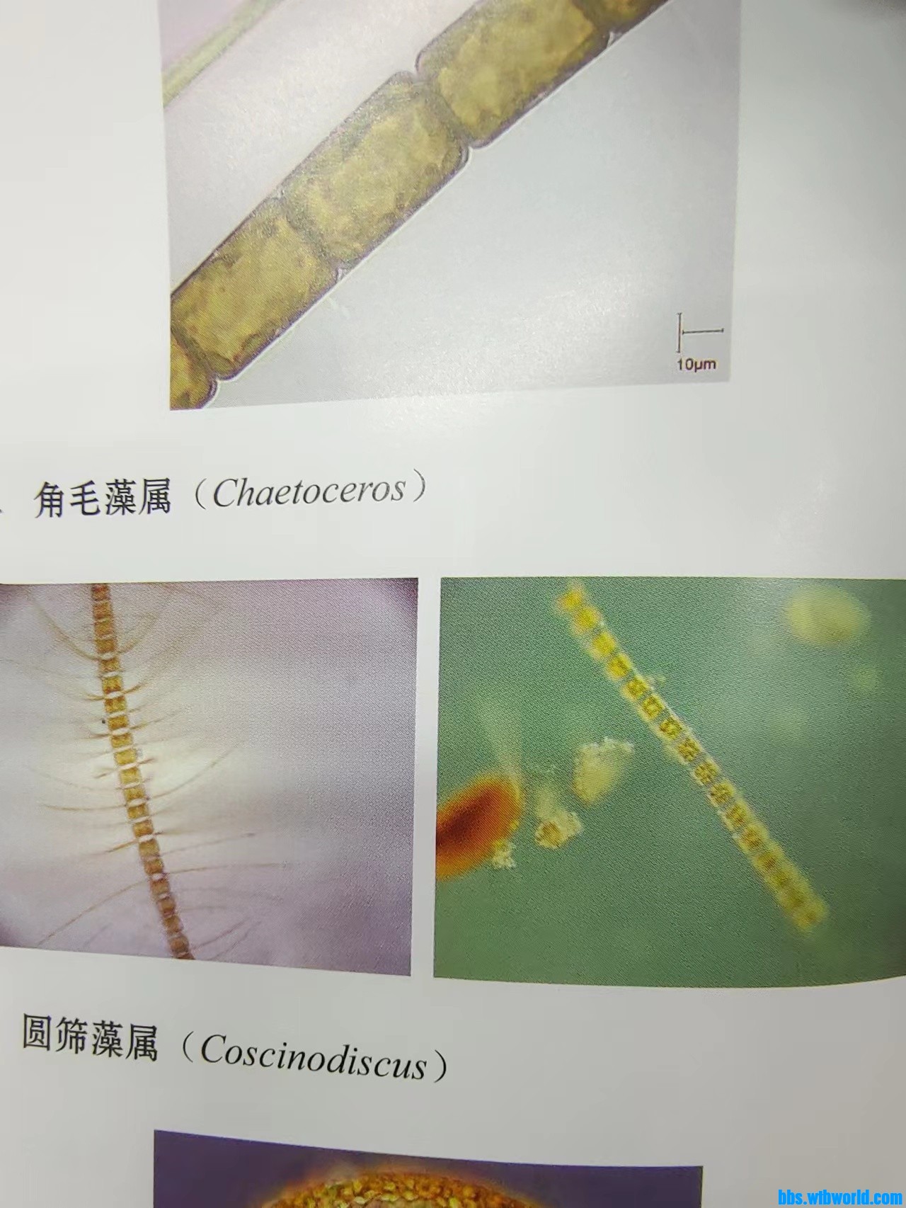 wechat_upload1700021377655444819943f