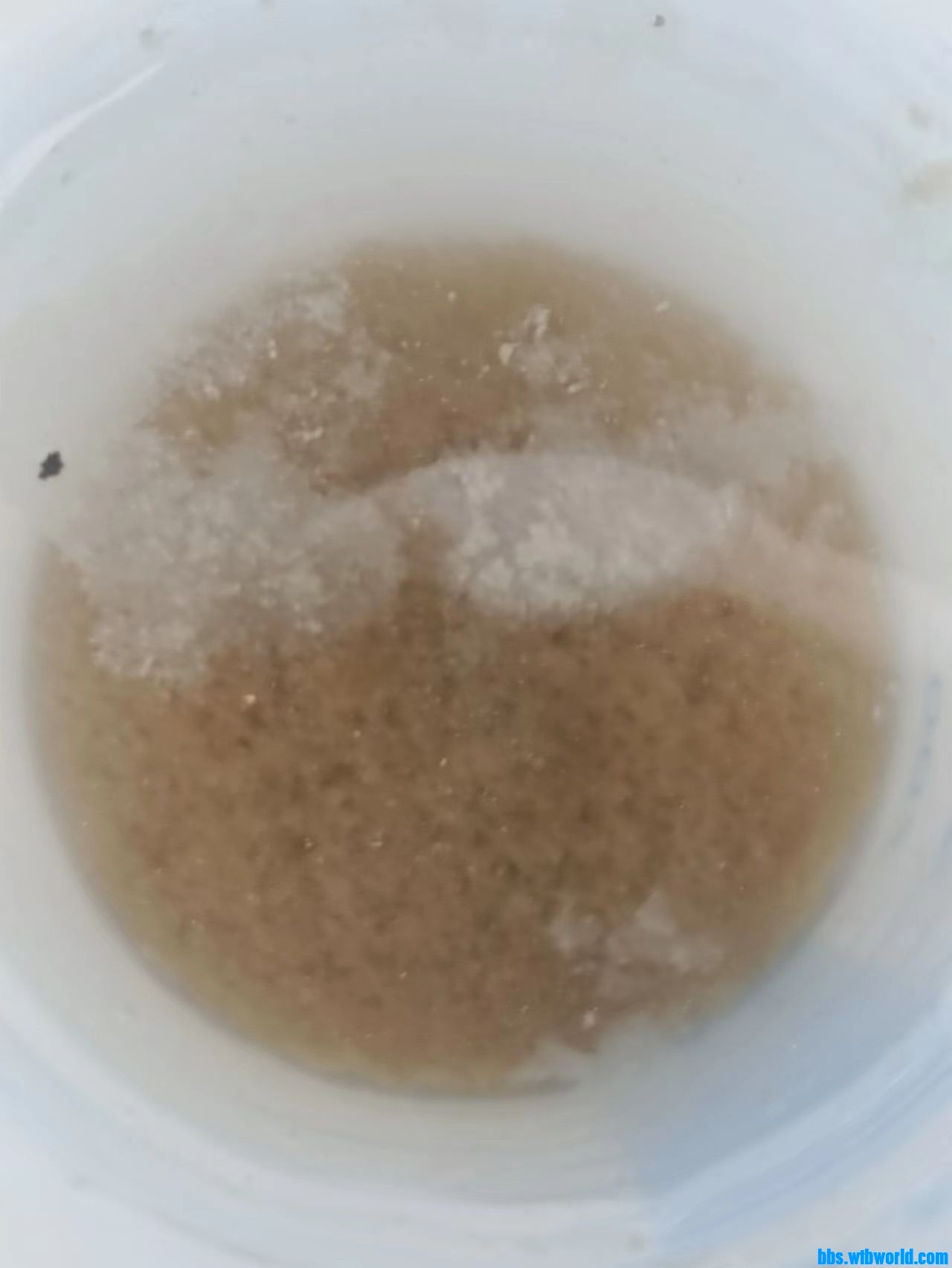 wechat_upload17022821936576c3d18578e