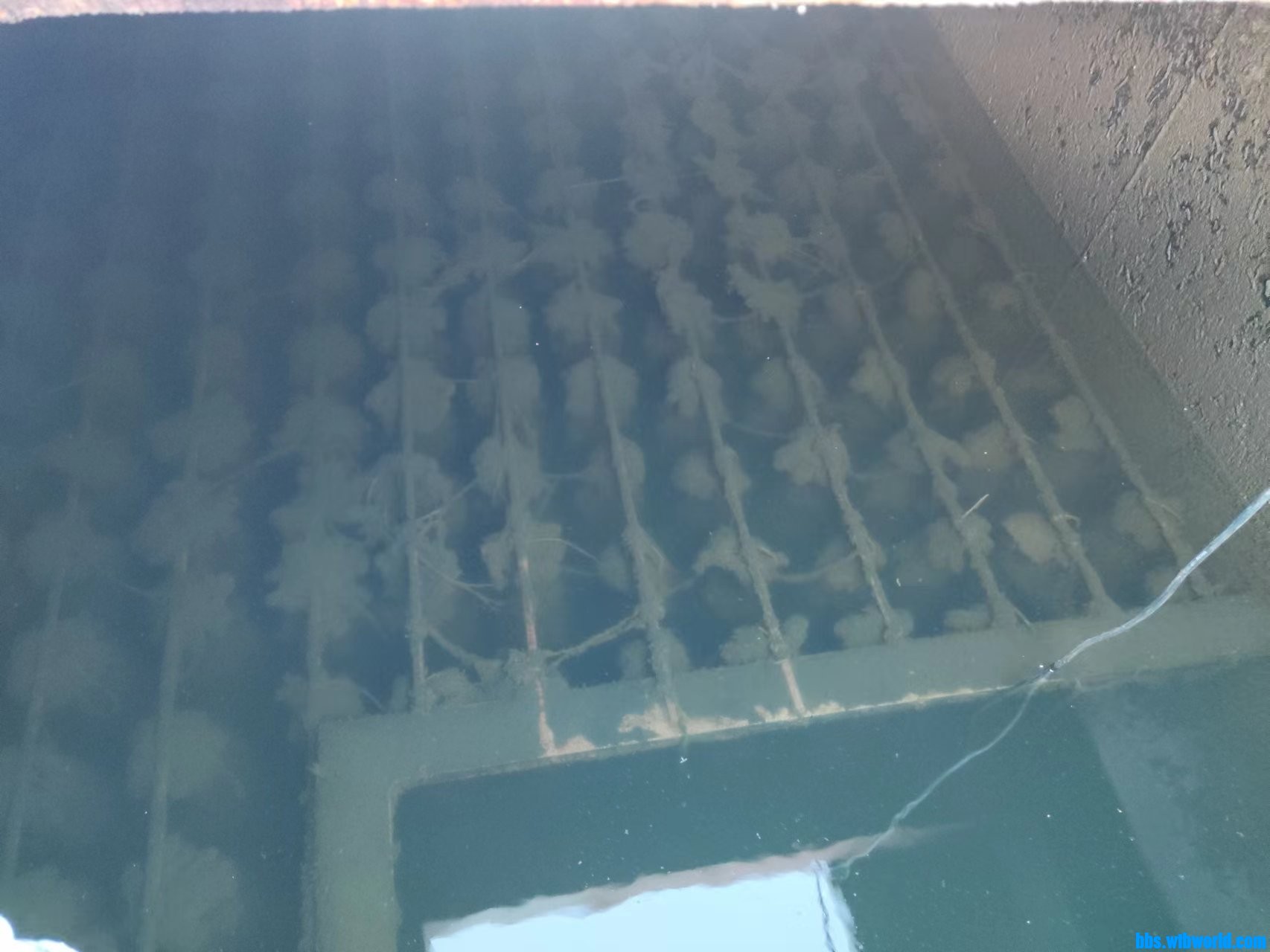 wechat_upload1702517566657a5b3ee49cf