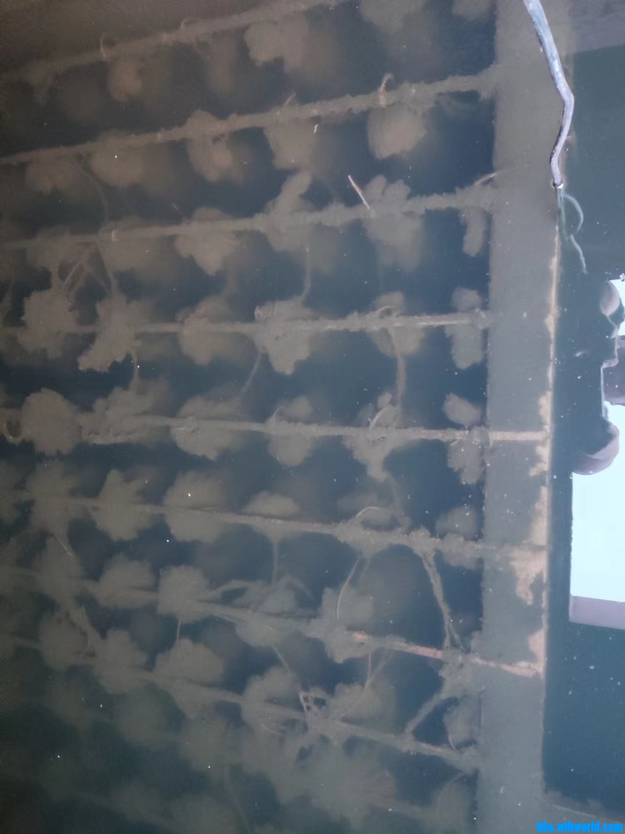 wechat_upload1702517567657a5b3fcf52b