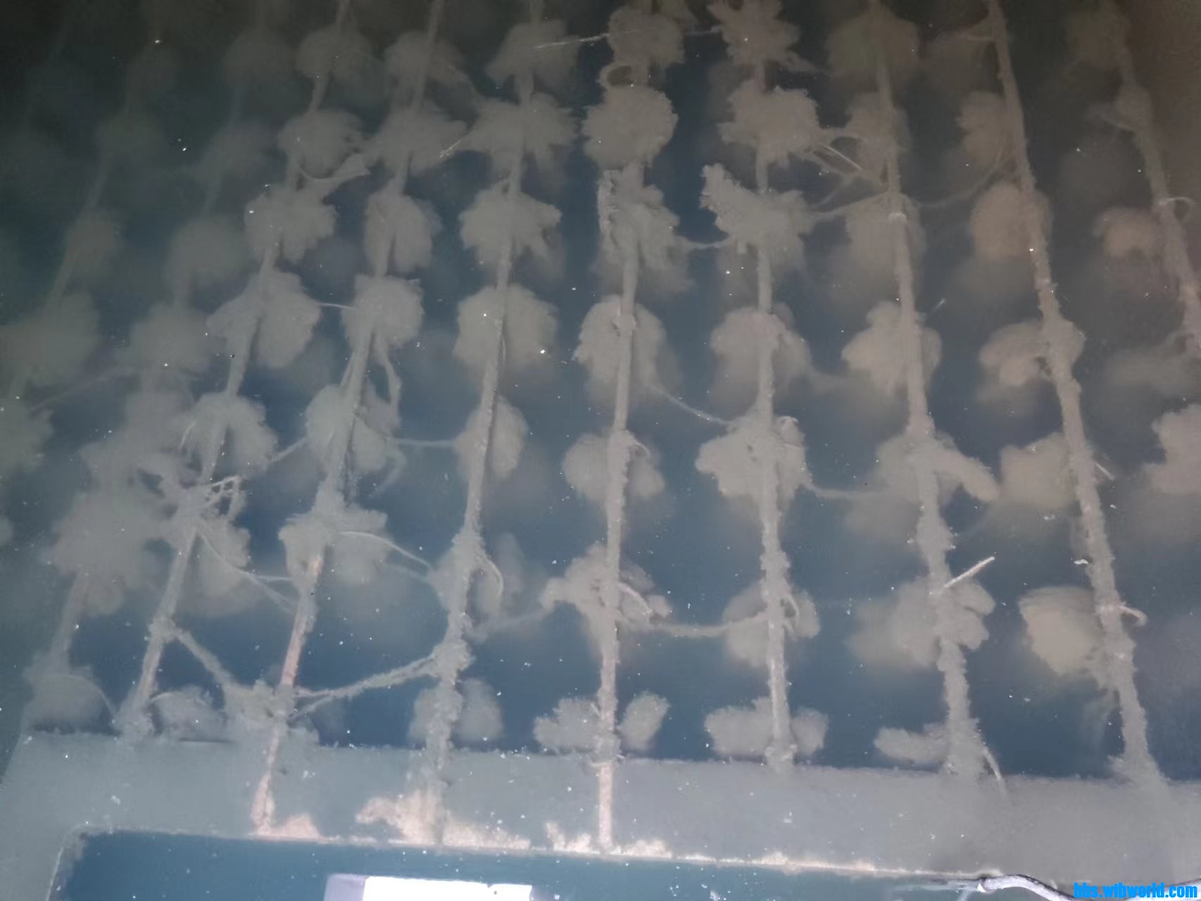 wechat_upload1702517567657a5b3f6bd68