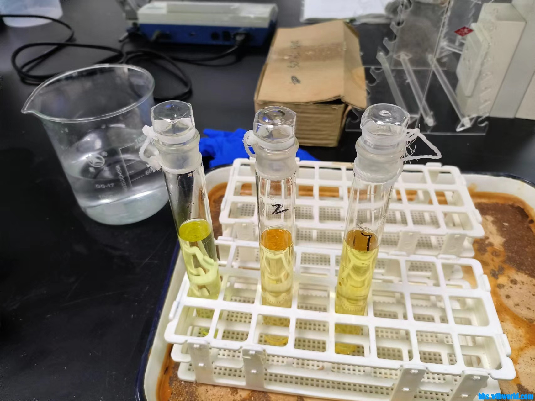 wechat_upload170965157065e736729e83c