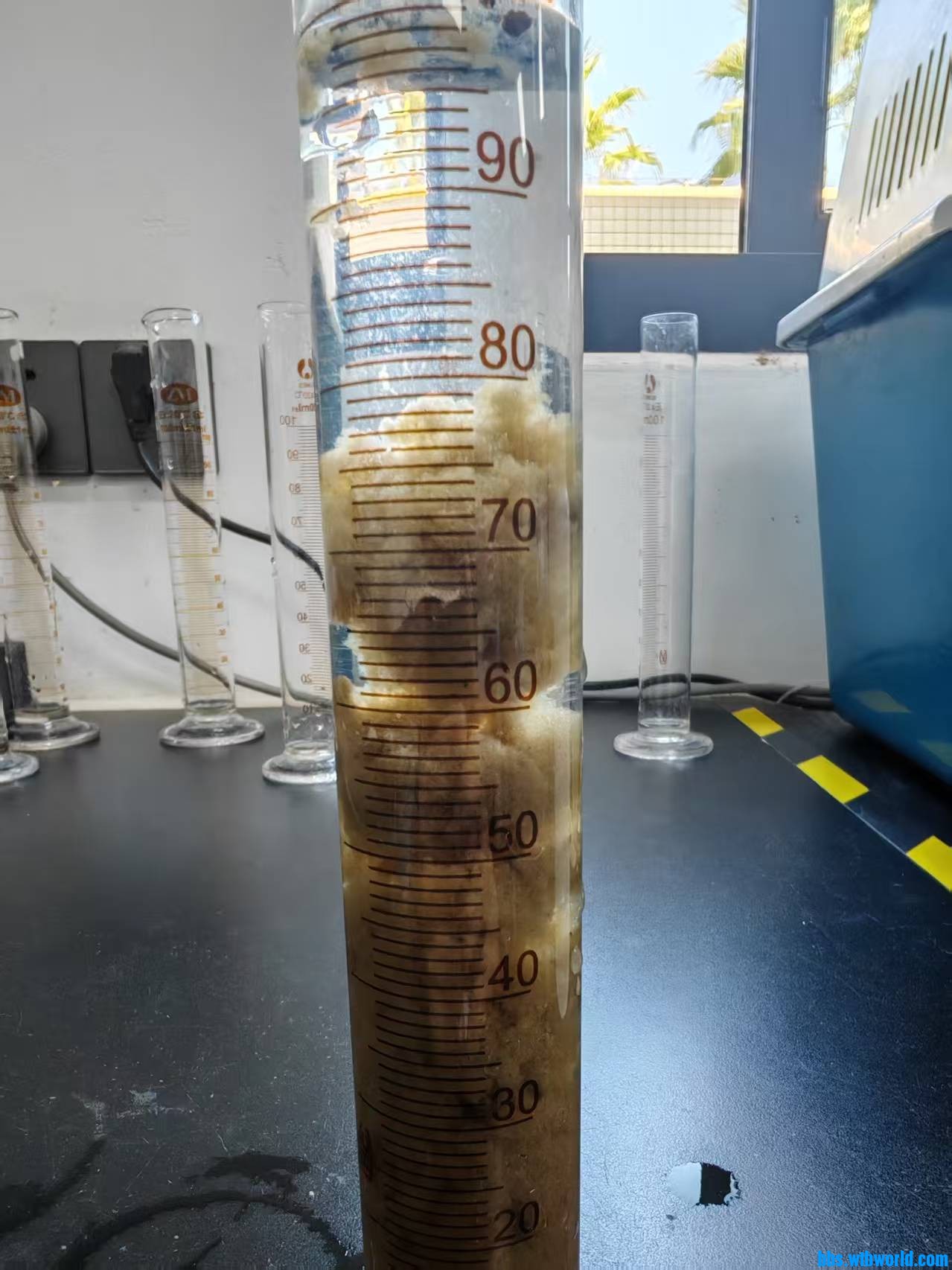 好氧前端污泥沉降半小时