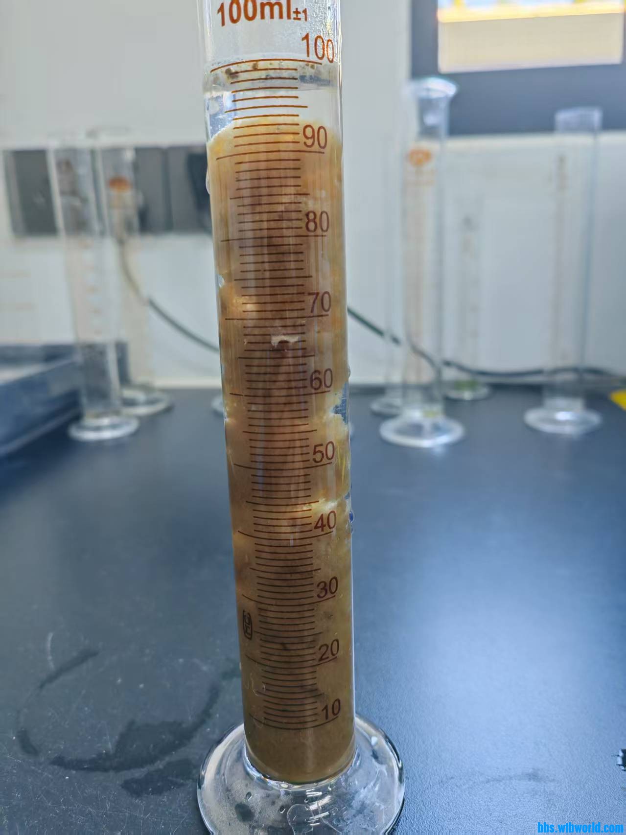 好氧前端污泥沉降10分钟
