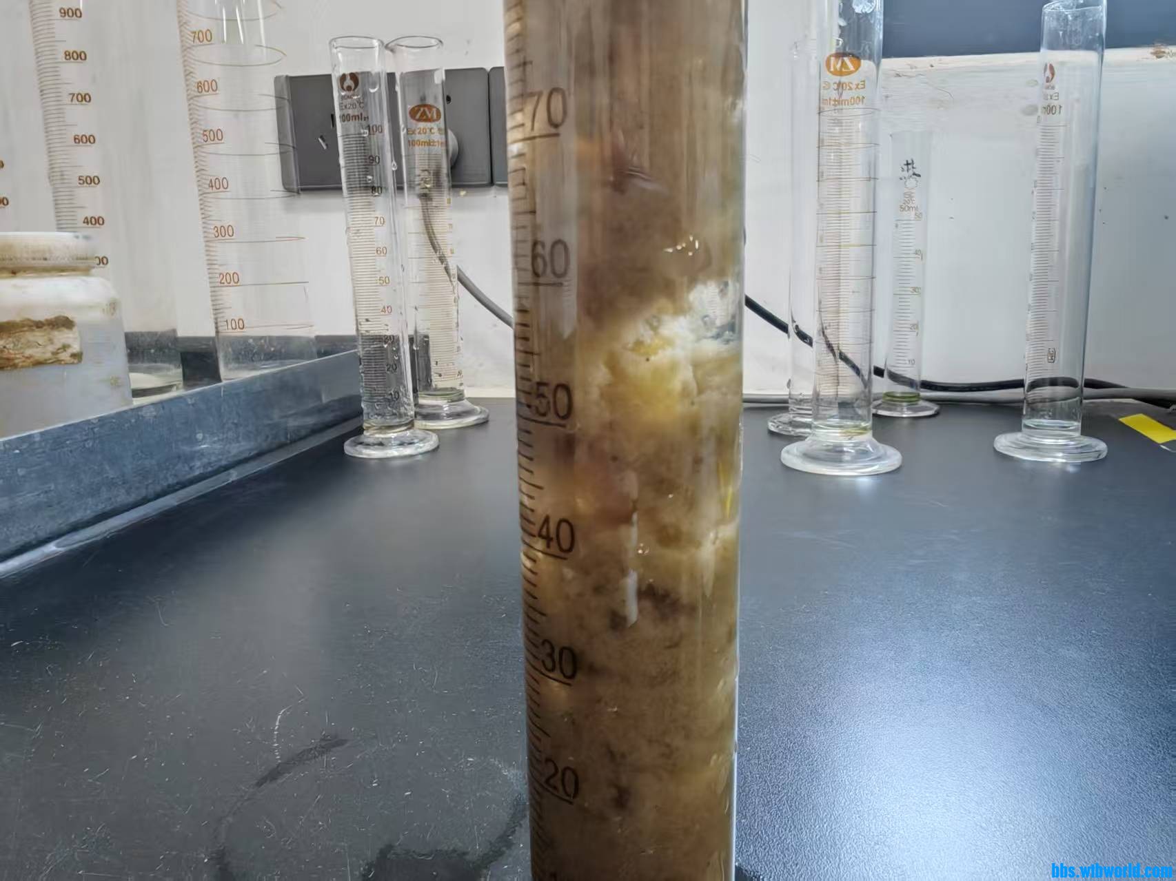 好氧前端污泥沉降半小时