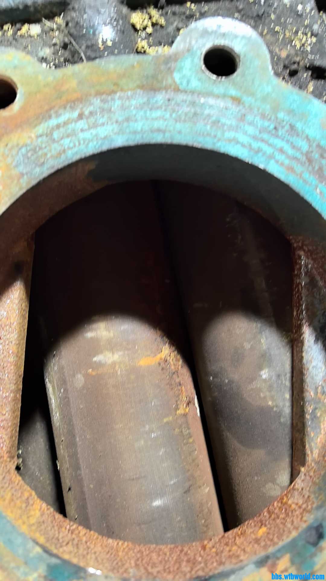 wx_camera_1724055413266.jpg