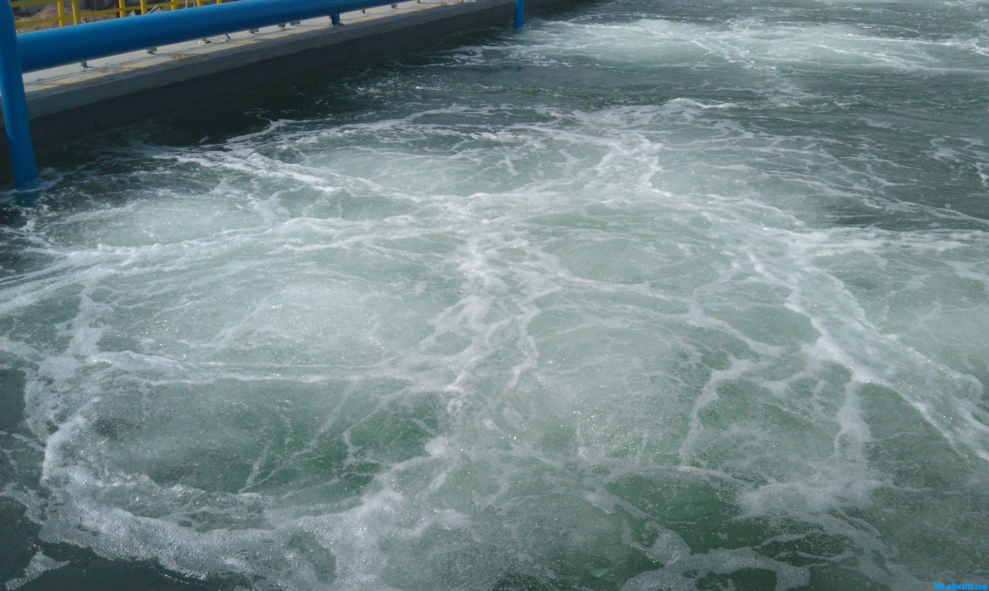 IMAG0027.jpg