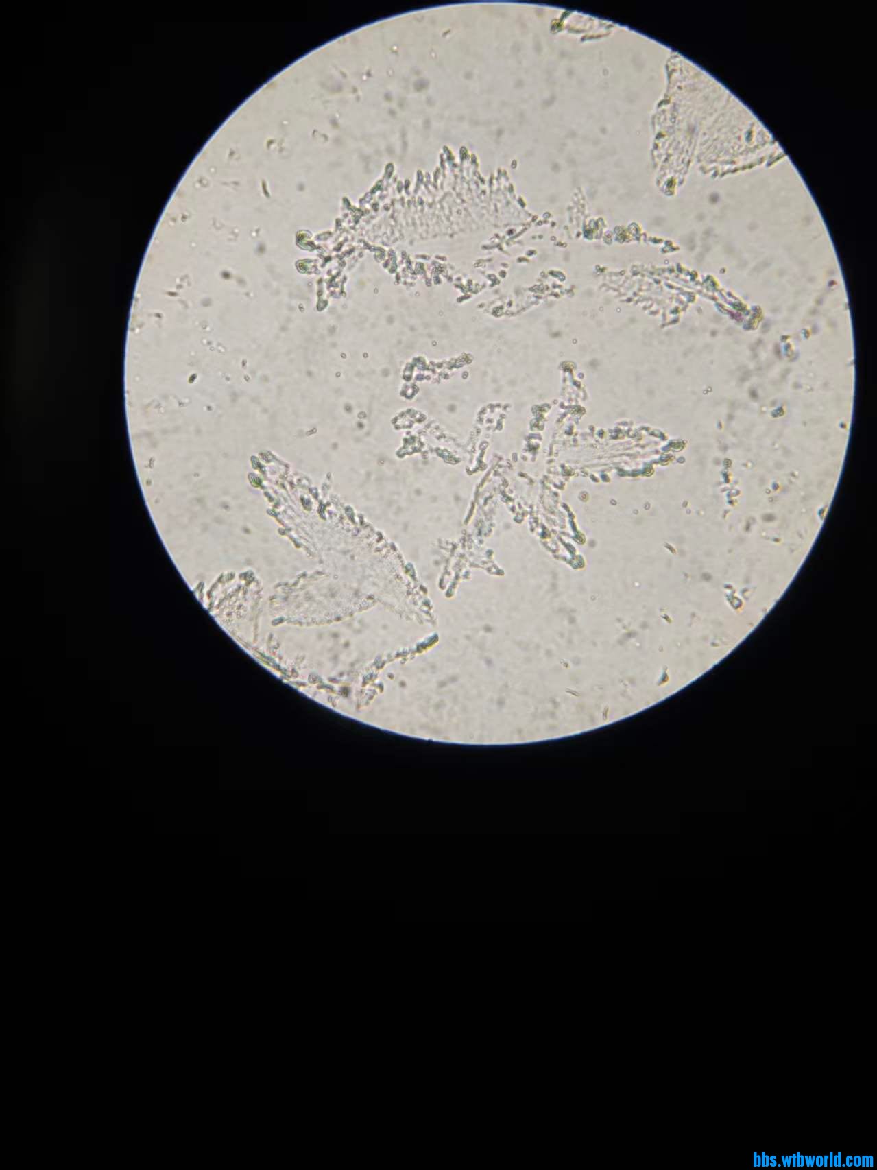 3c318cc98b92c7473c21f39d44f996e8.jpg
