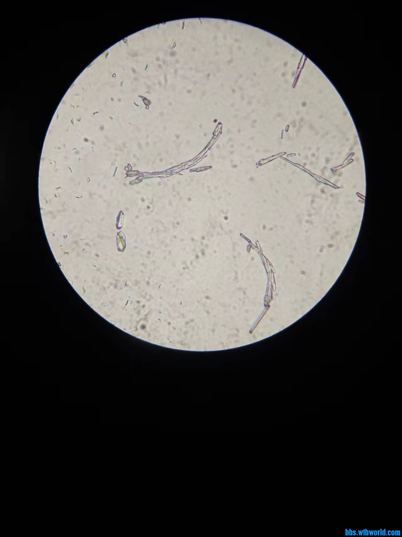 e8f504fa37a87a5105ddd749f3a94d25.jpg